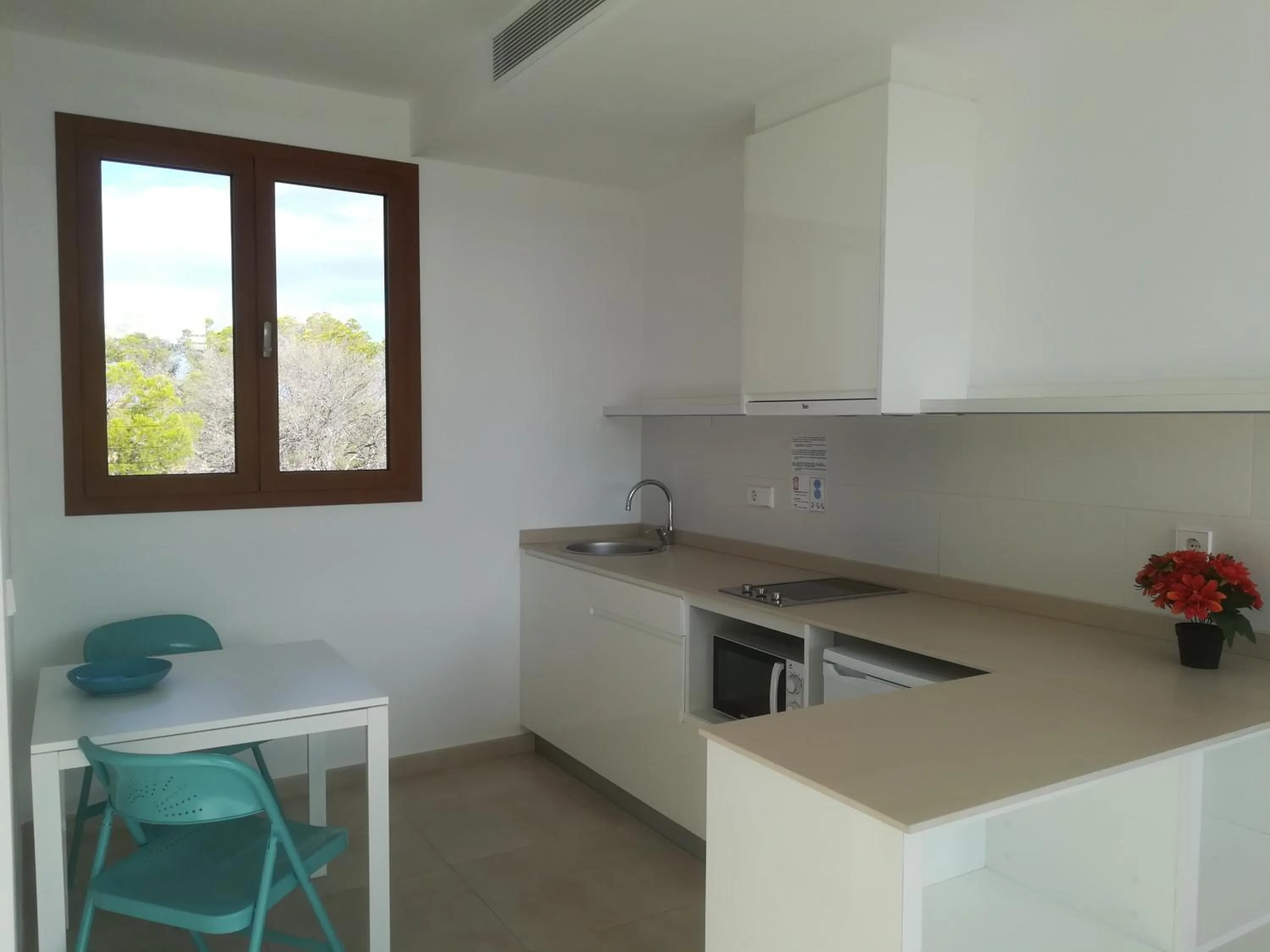 Kitchen or kitchenette in Apartamentos Villa Primera