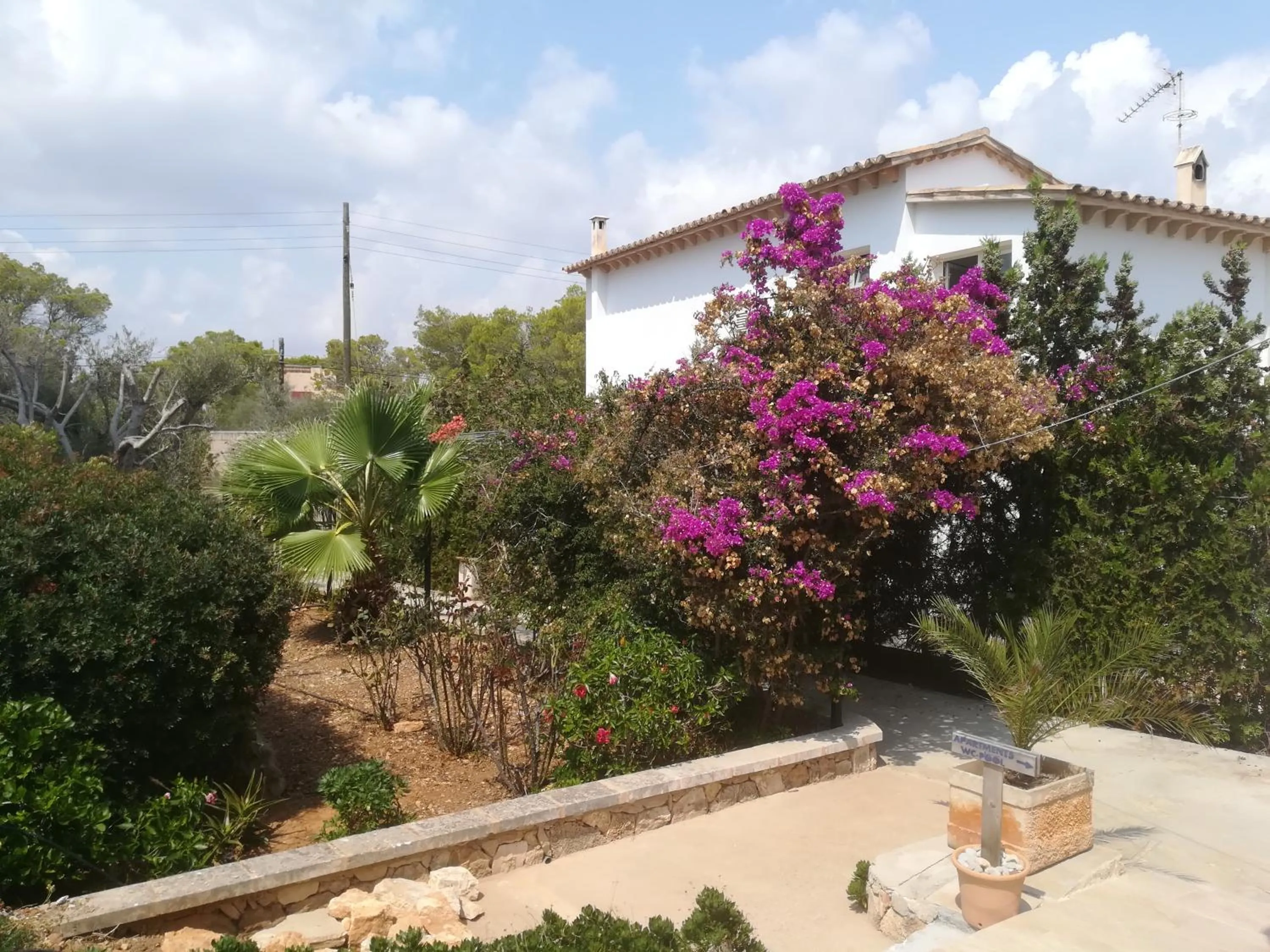 Off site in Apartamentos Villa Primera
