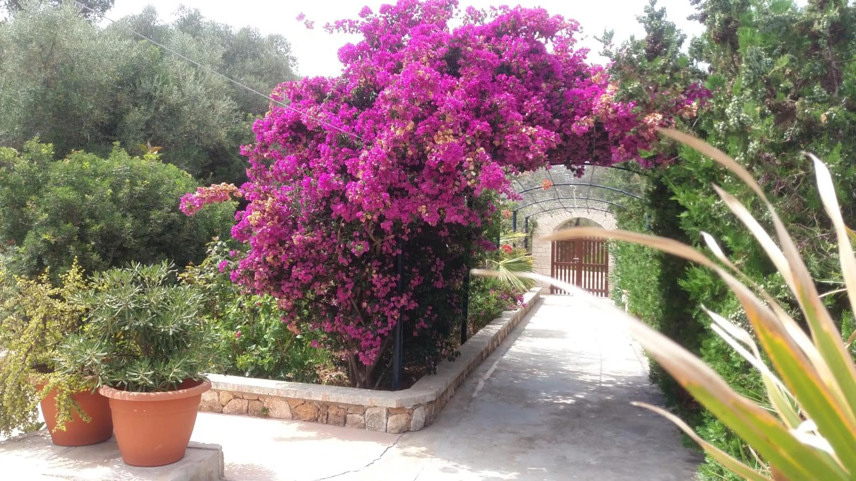 Off site in Apartamentos Villa Primera