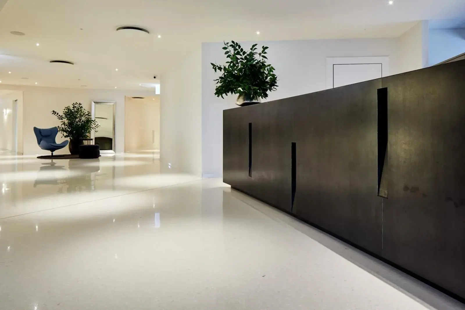 Lobby or reception in Delparco Hotel Lobby or reception in Delparco Hotel