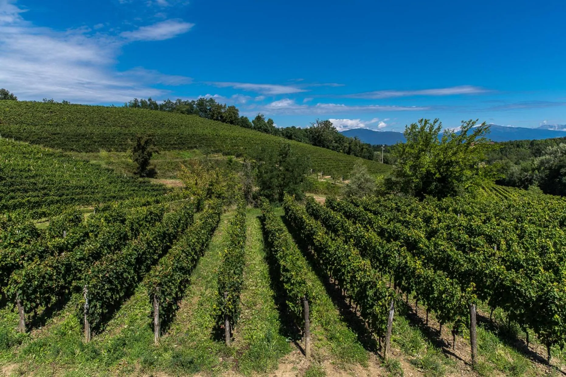 Natural landscape in Delparco Hotel