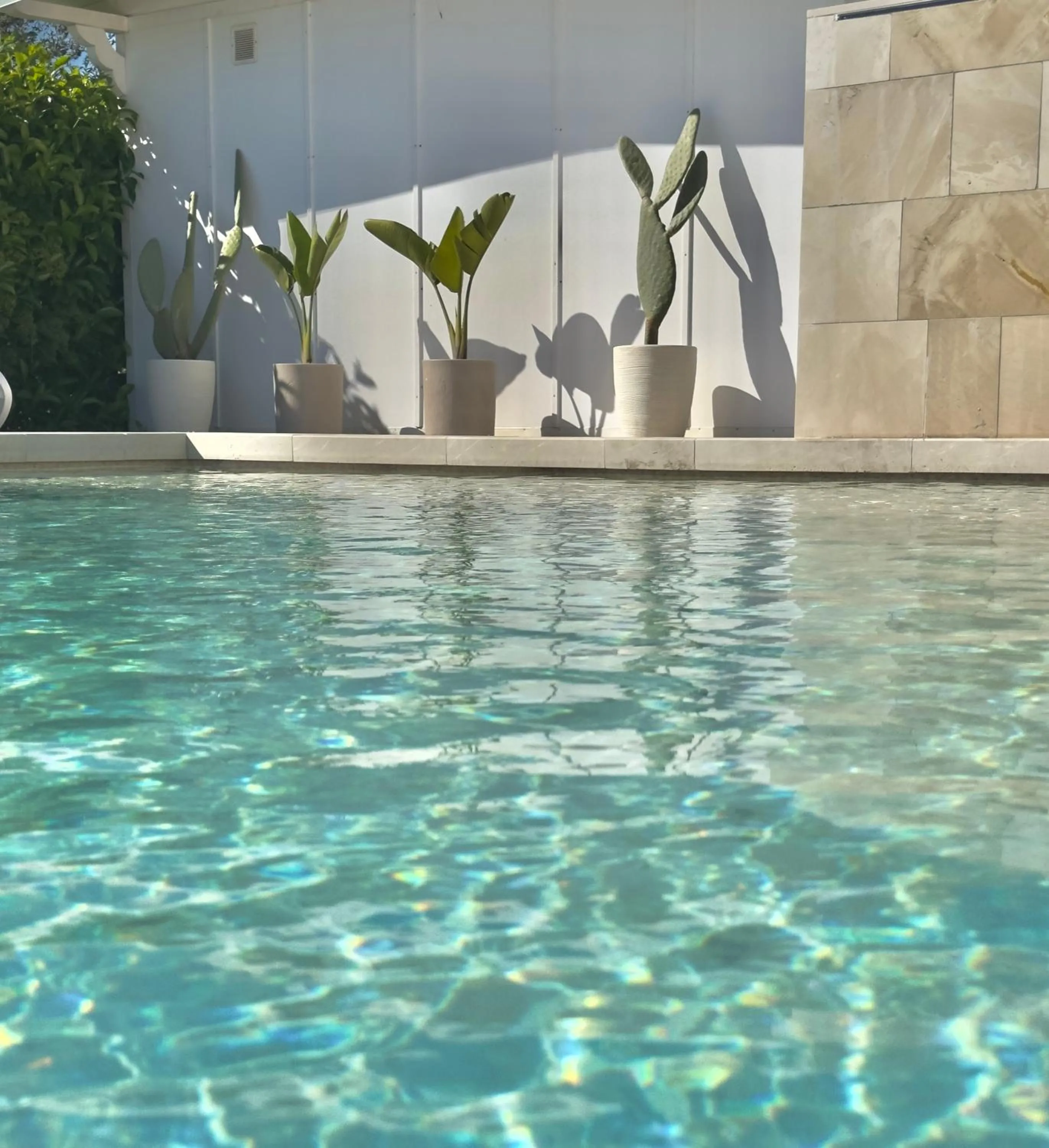 Swimming pool in Agriturismo Panacea