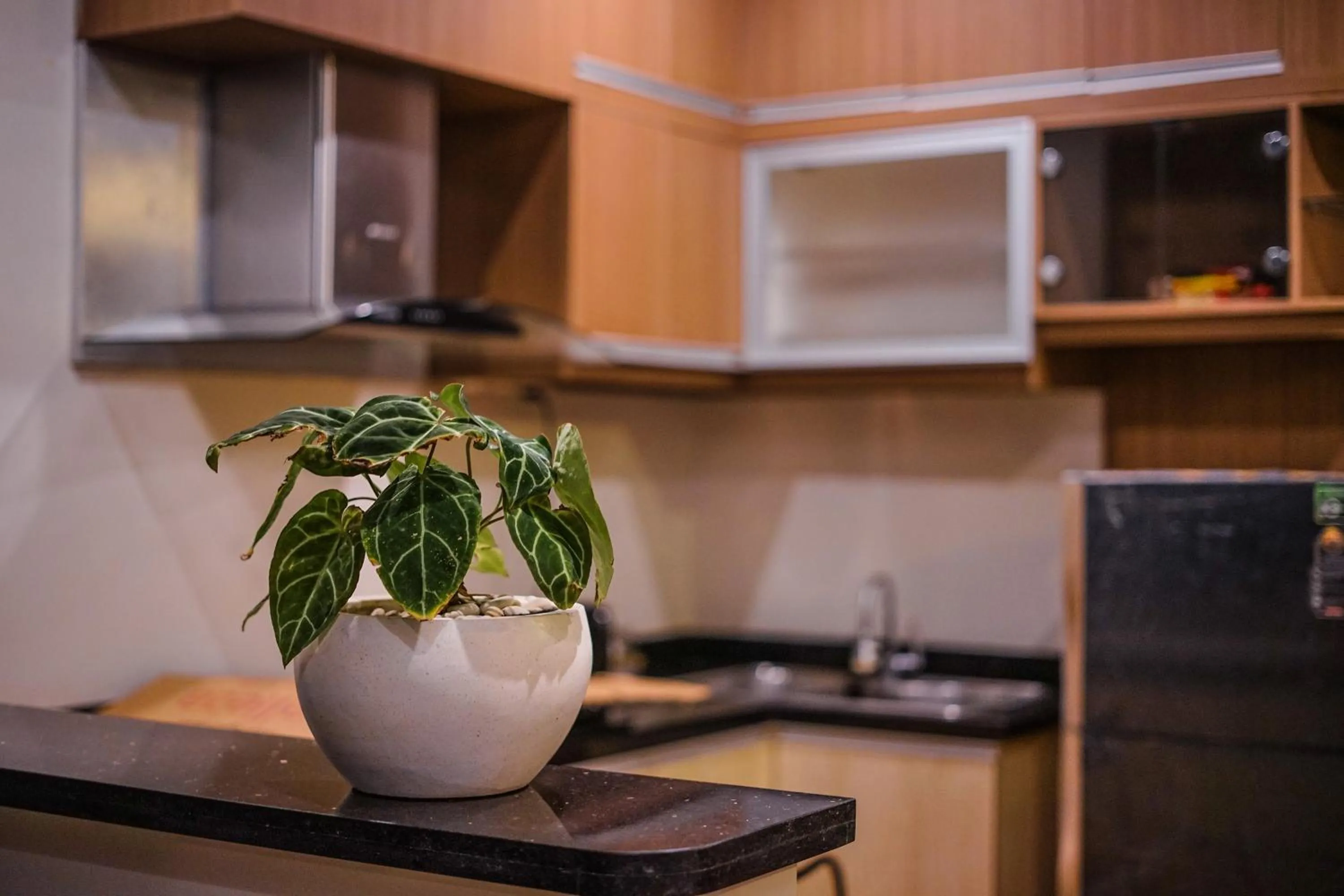 Kitchen or kitchenette in The Ocean Views Luxury Villas & Apartment