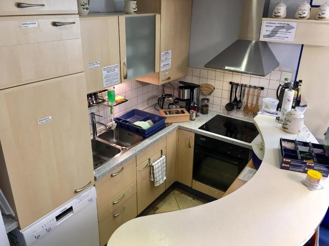 Kitchen or kitchenette in Apartment Palmié