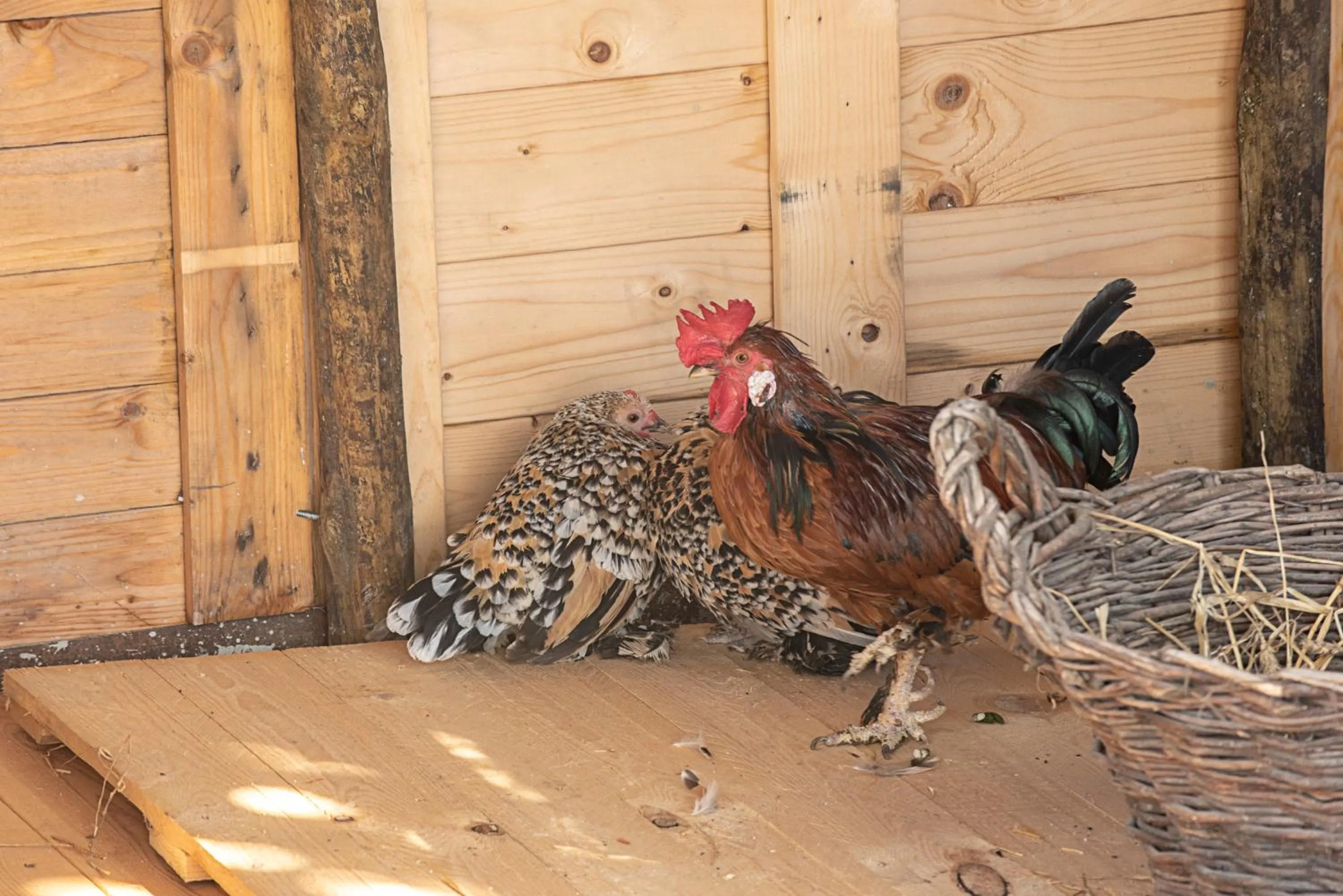 Property building in NINHO SALOIO