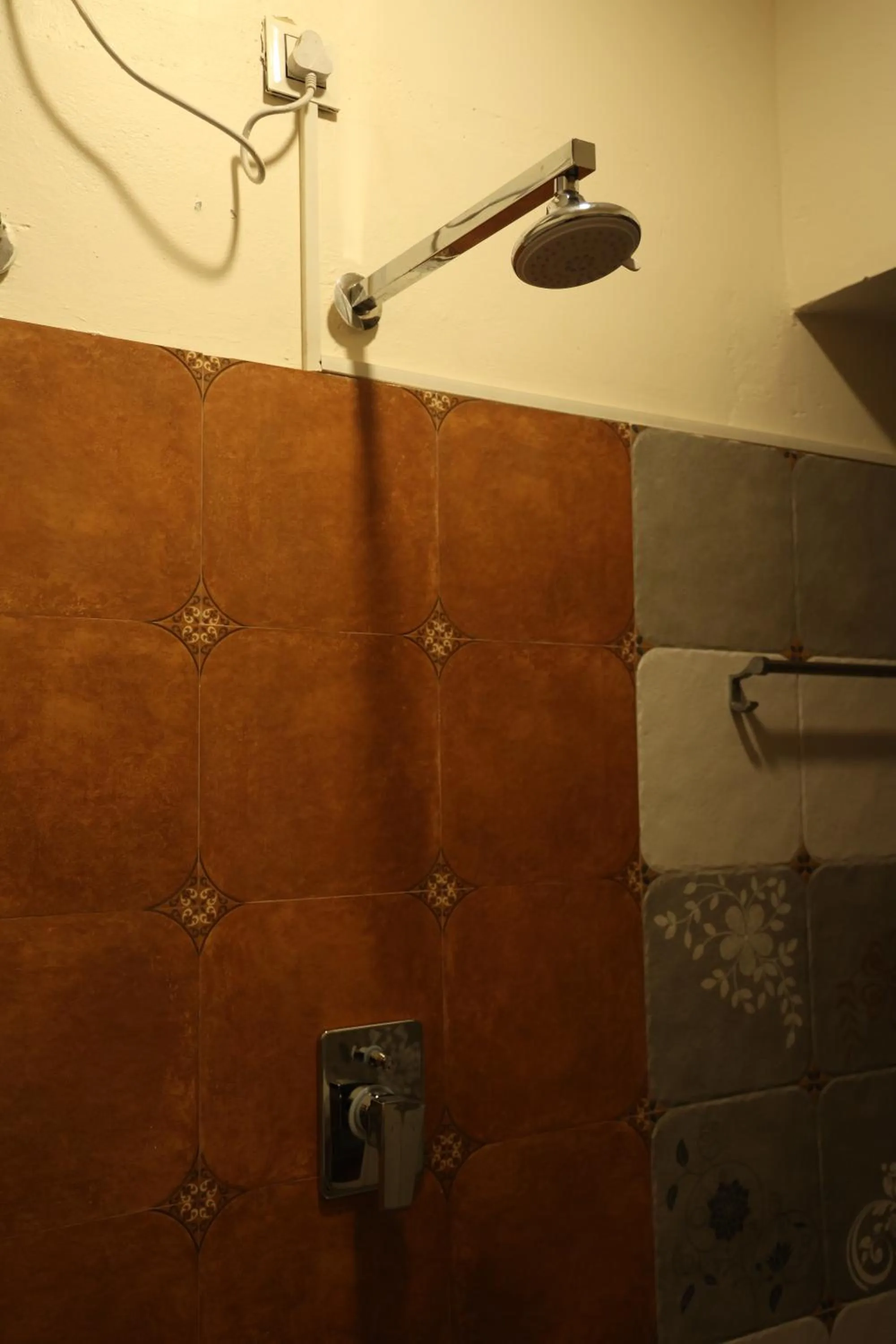 Shower in Dwaraka Guest House