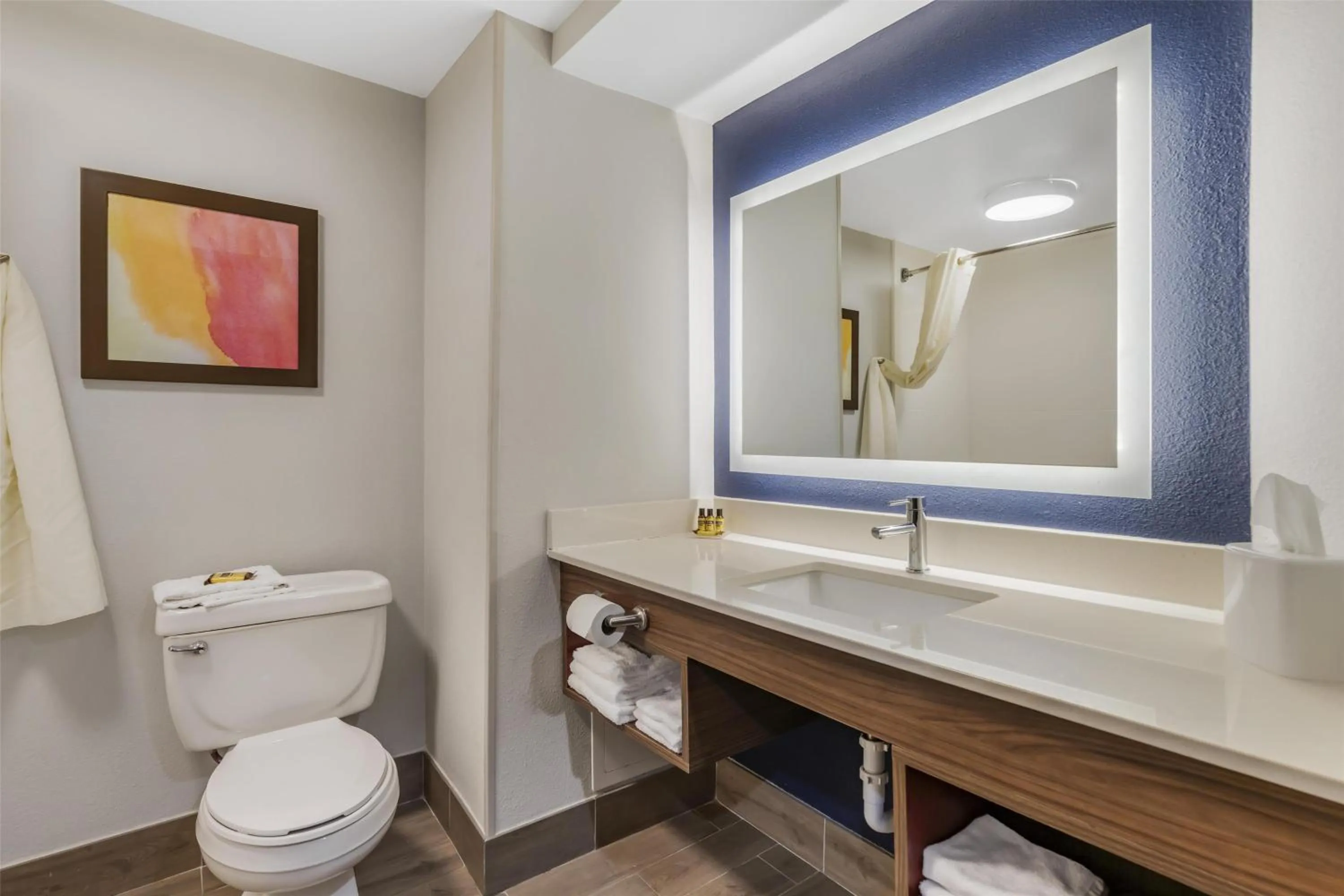 Bathroom in Best Western Plus Lexington Inn