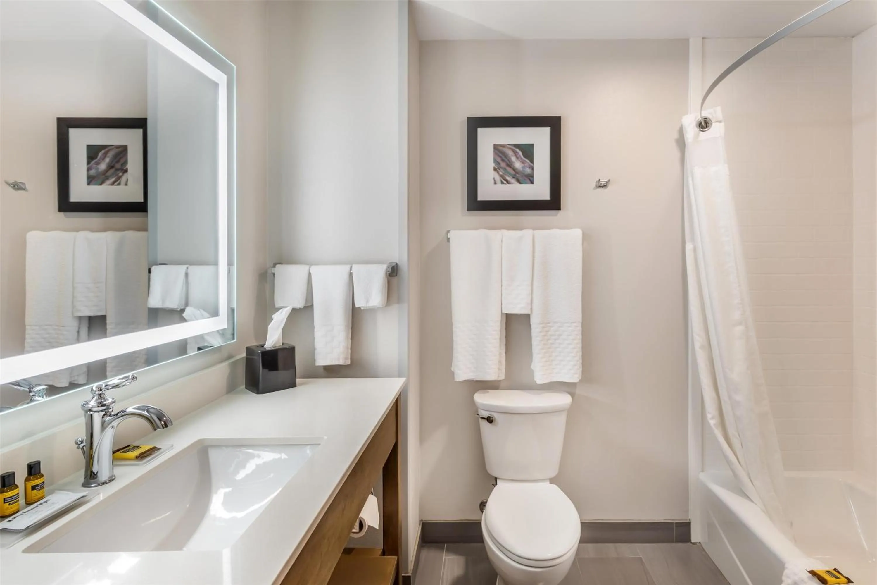 Bathroom in Best Western Plus Rapid City Rushmore