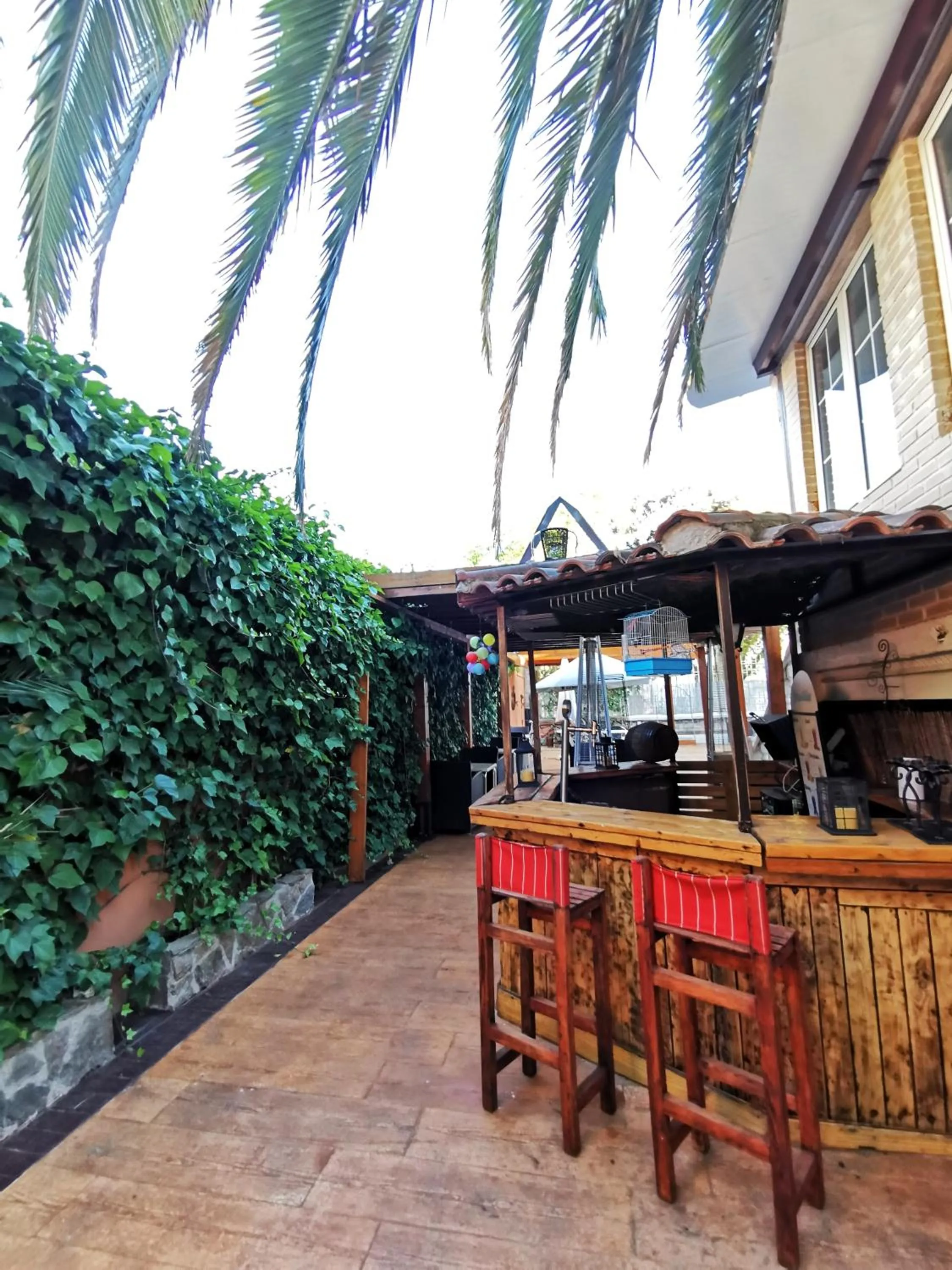 Patio in Tu Mansión