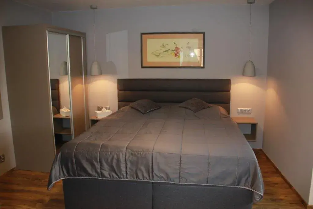 Double or Twin Room - single occupancy in Hotel Gurman Double or Twin Room - single occupancy in Hotel Gurman