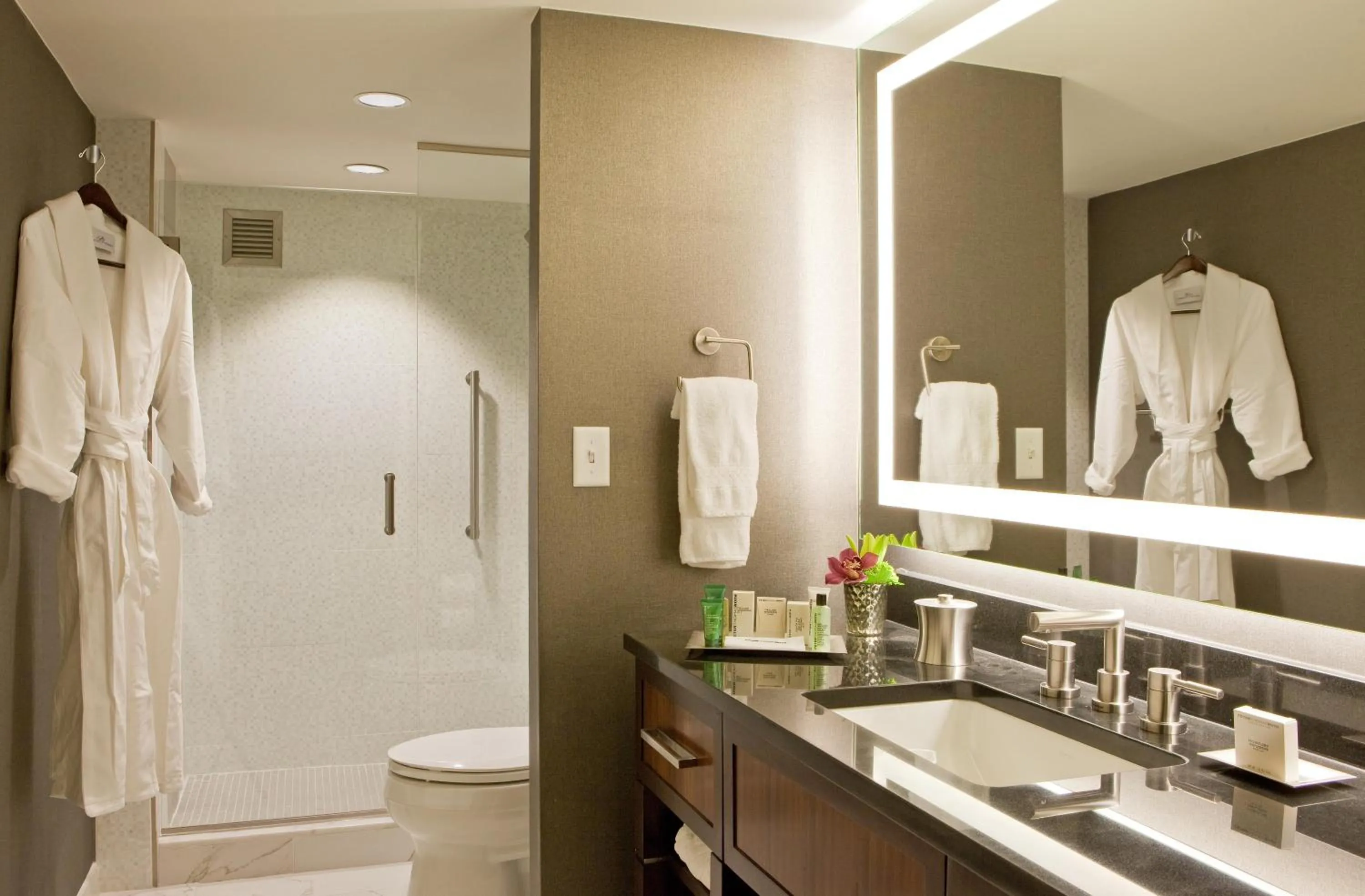 Bathroom in Hilton Nashville Downtown