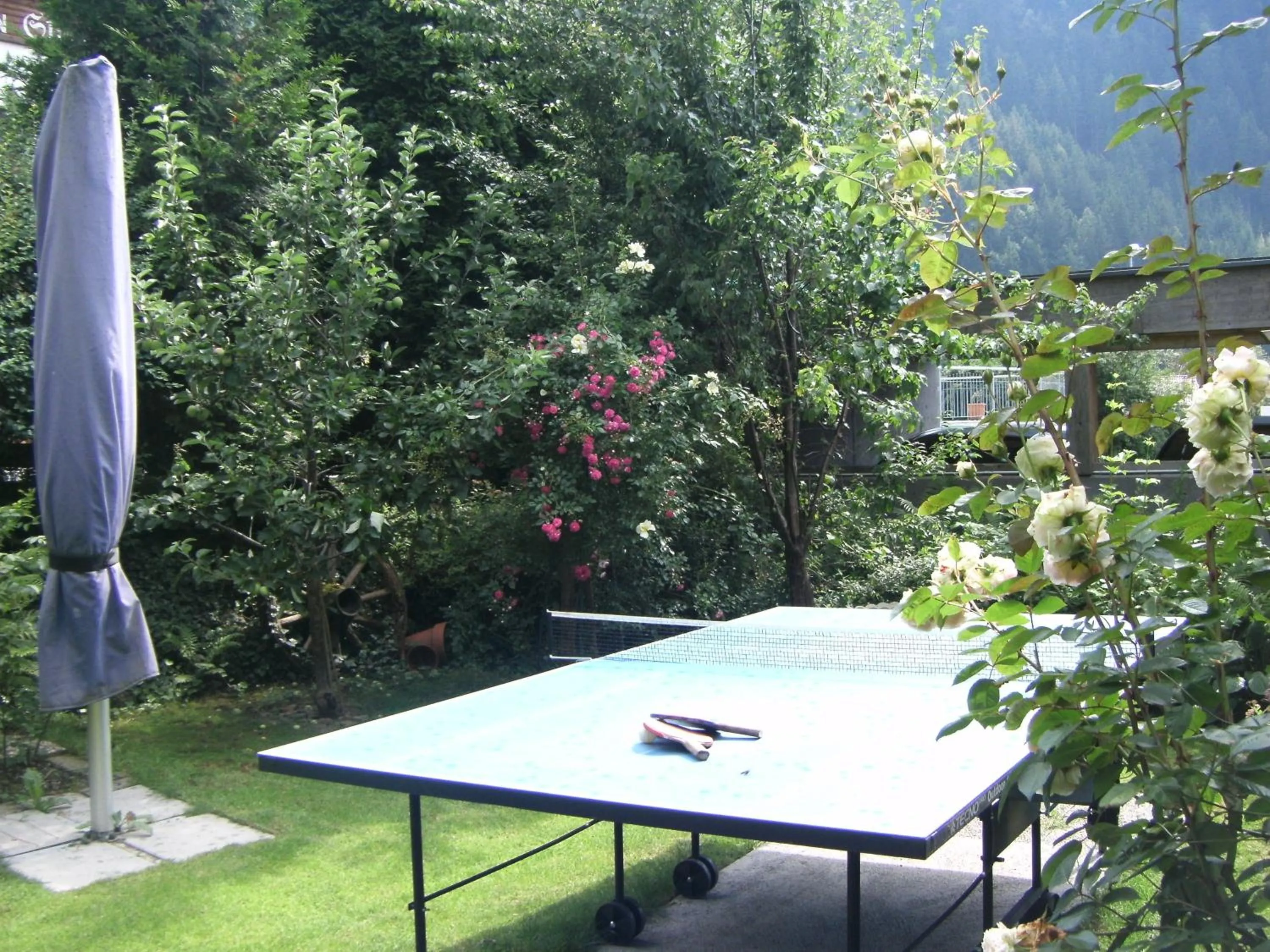 Table tennis in Pension Garni Gerhard