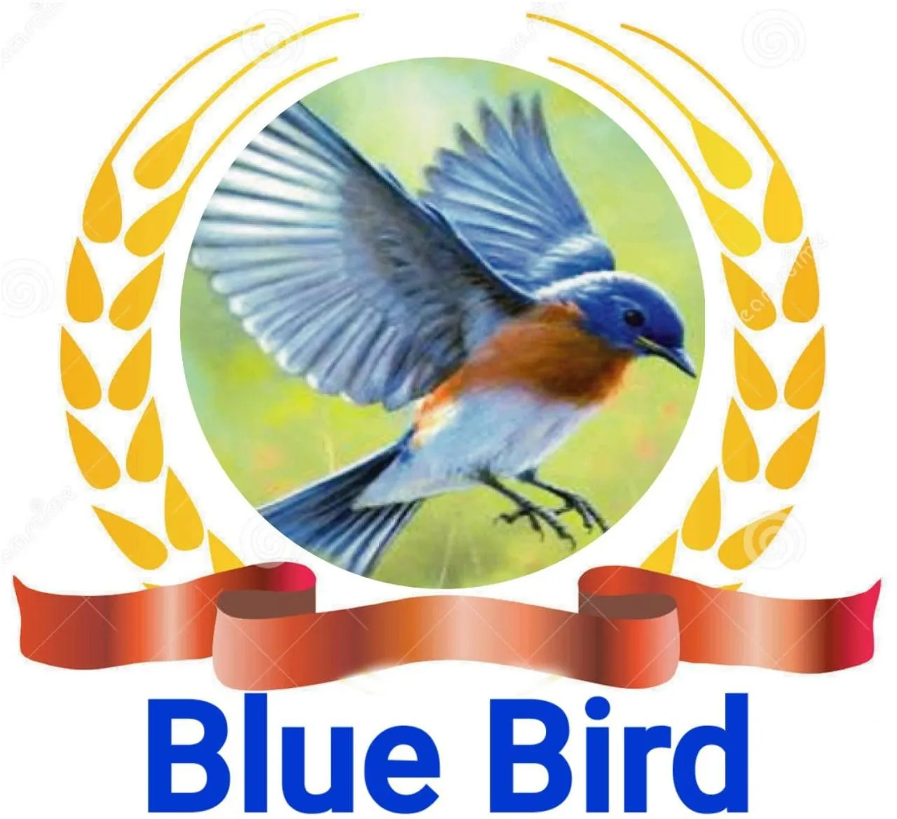 Hotel Blue Bird
