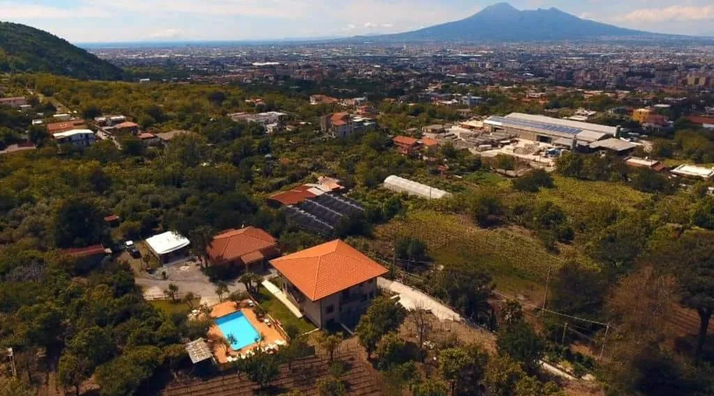 Natural landscape in B & B Evergreen