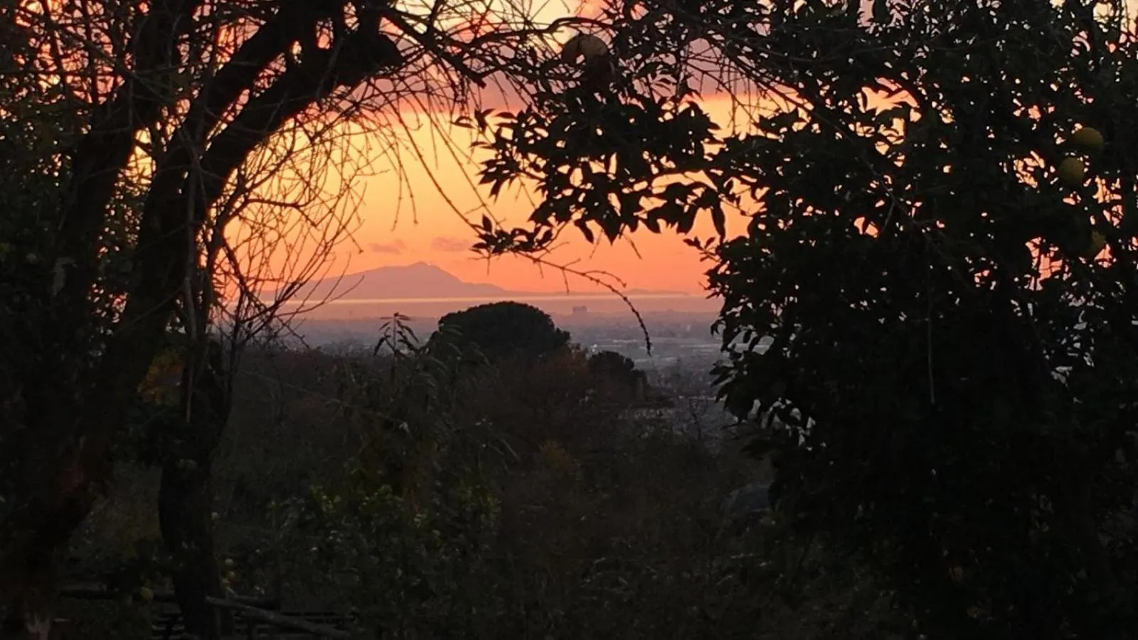 Natural landscape in B & B Evergreen