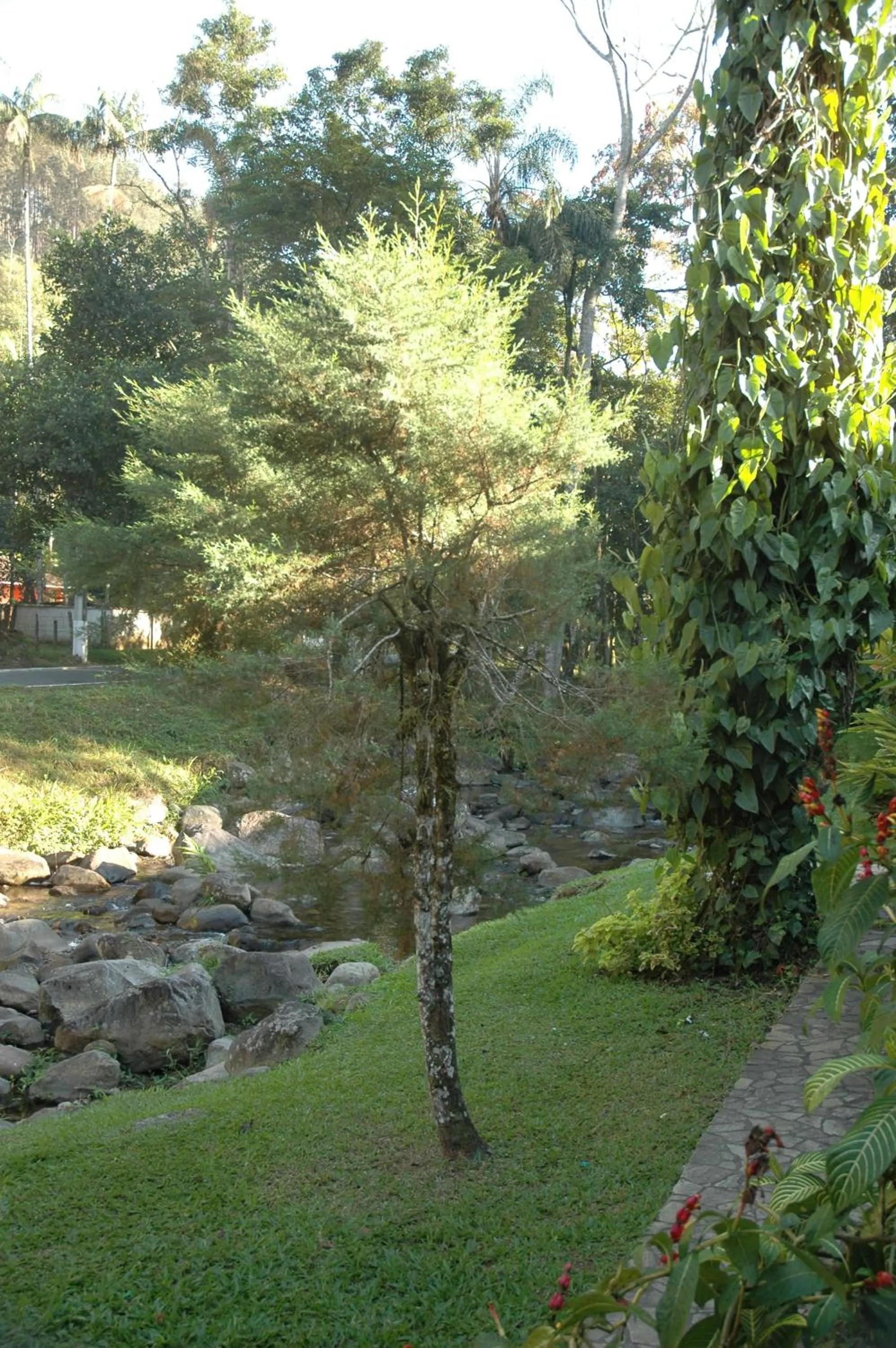 Day in Pousada Suarez