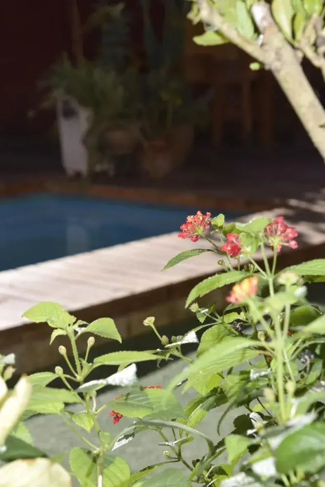 Economy Twin Room in Hostel Estacion Mendoza Economy Twin Room in Hostel Estacion Mendoza