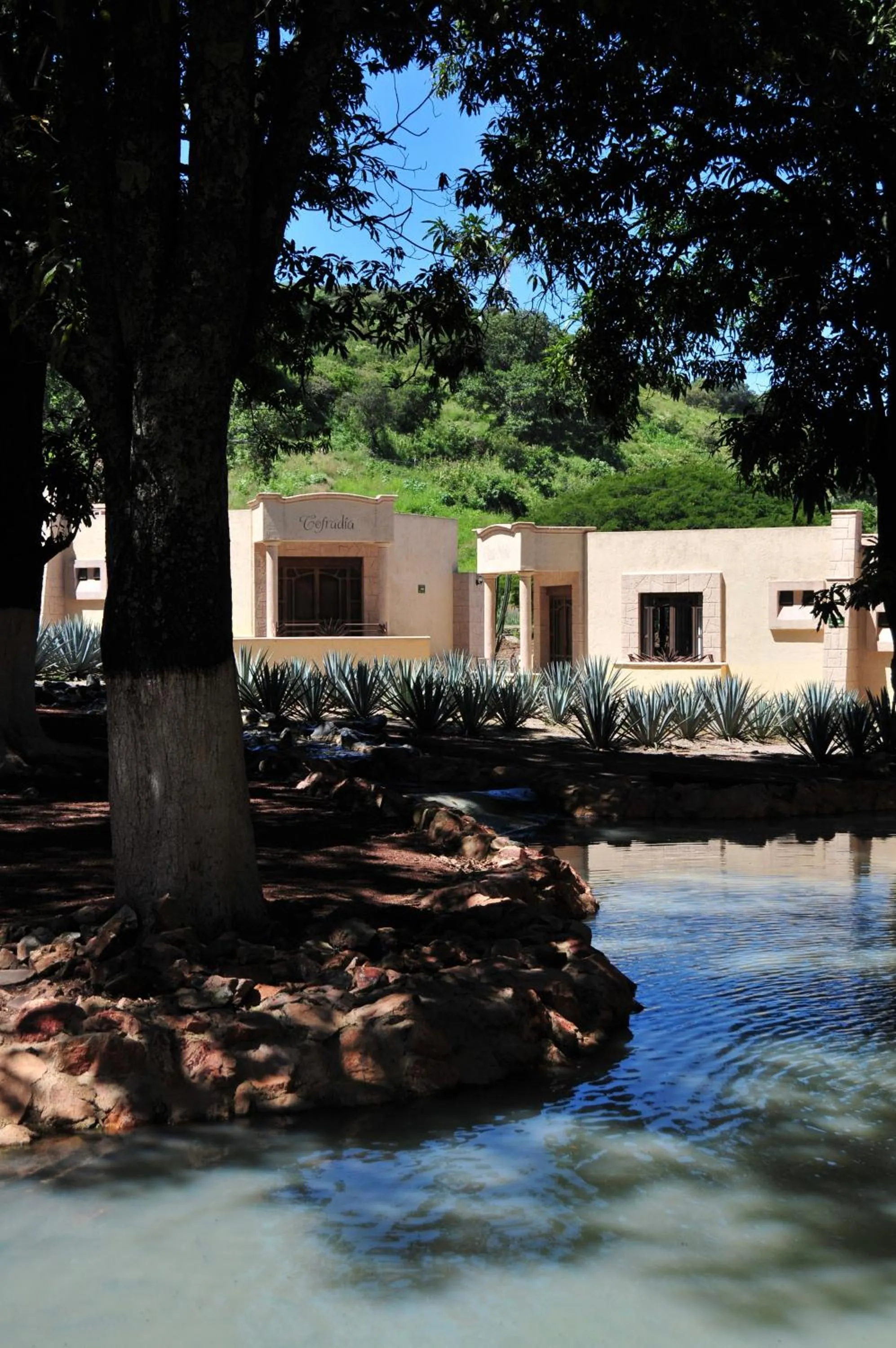 Matices Hotel de Barricas