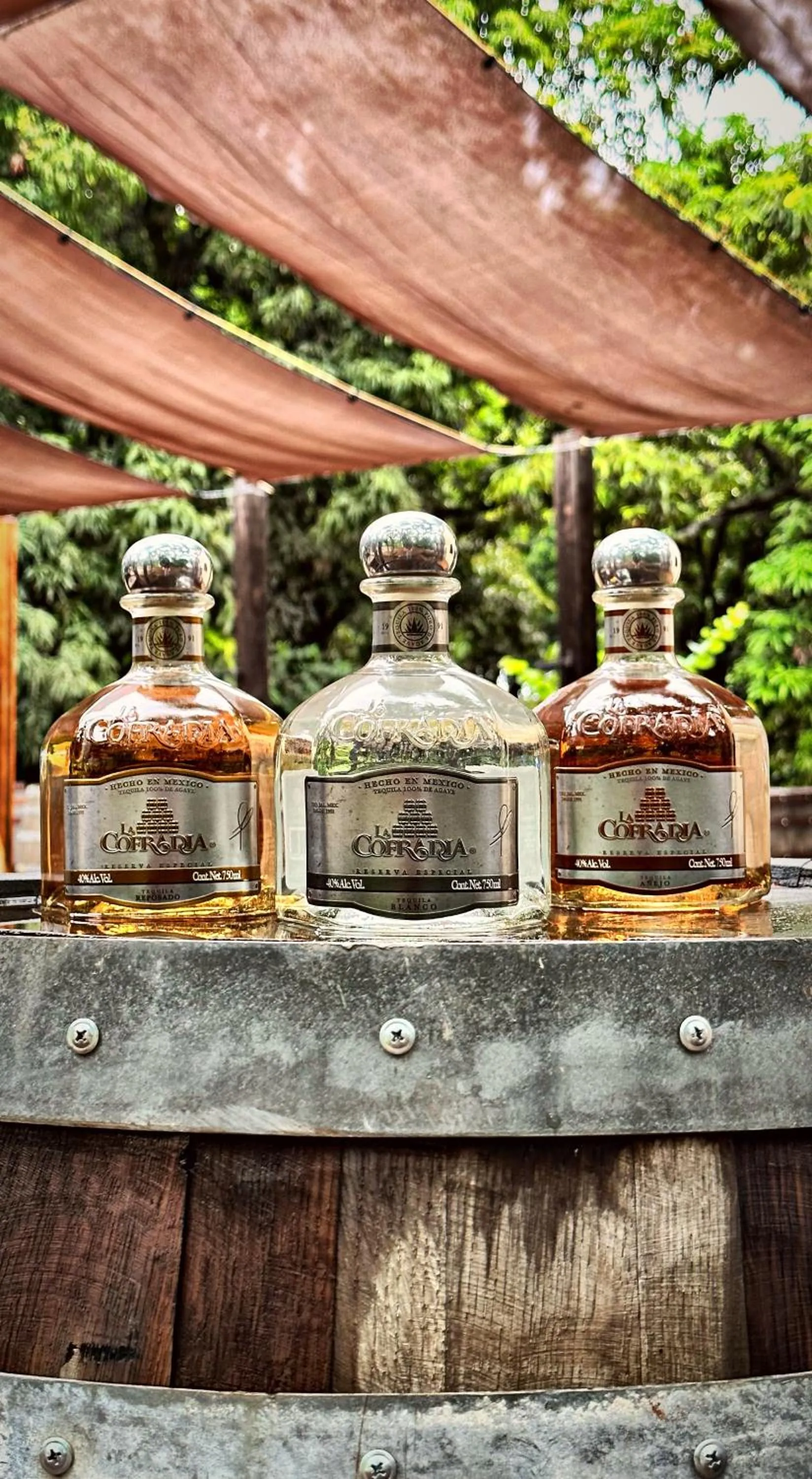 Matices Hotel de Barricas