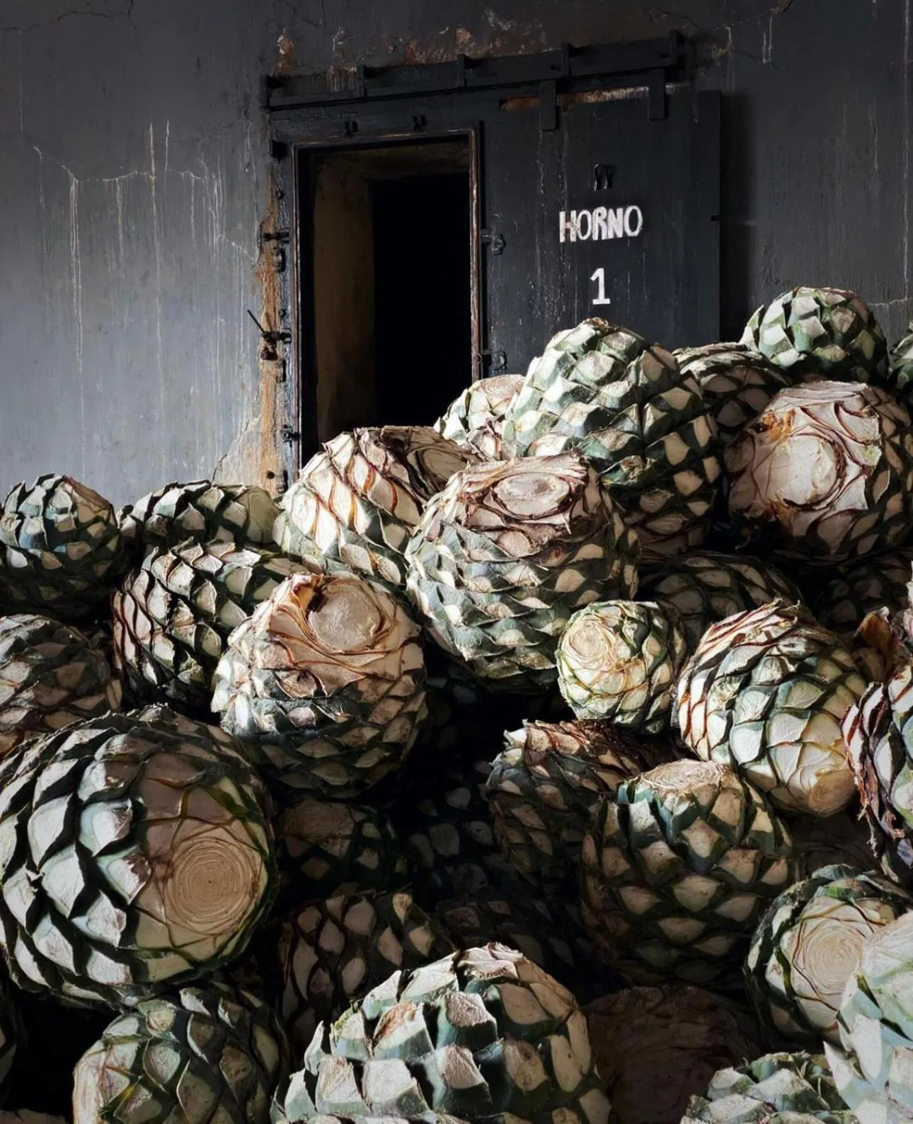 Matices Hotel de Barricas