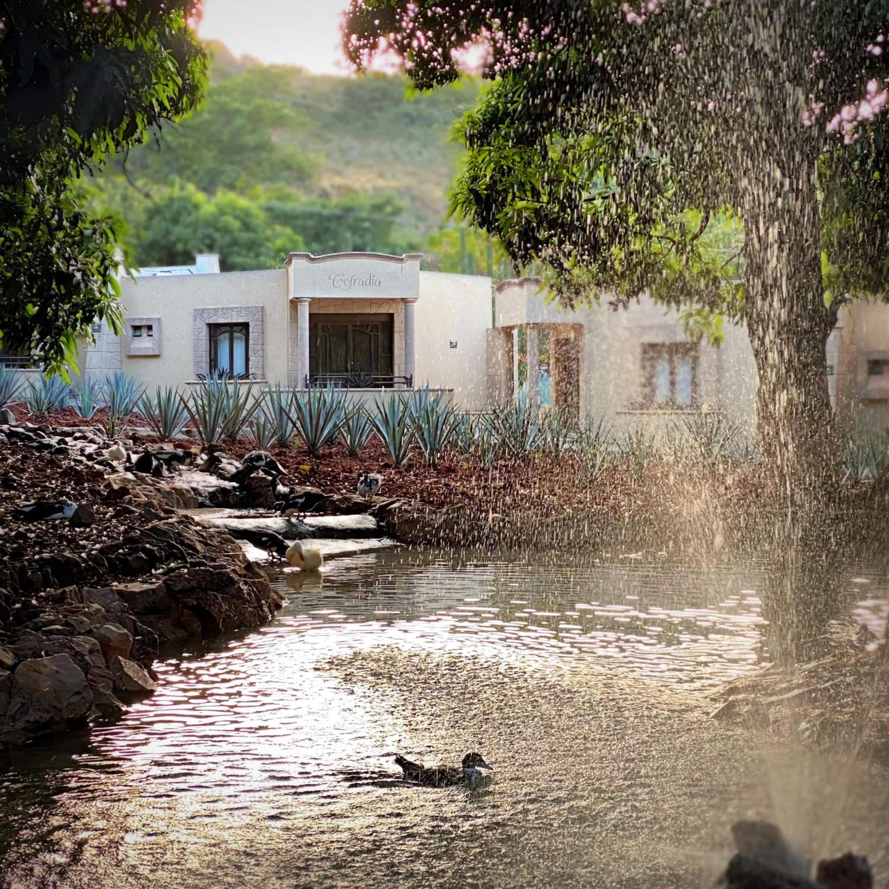View (from property/room) in Matices Hotel de Barricas
