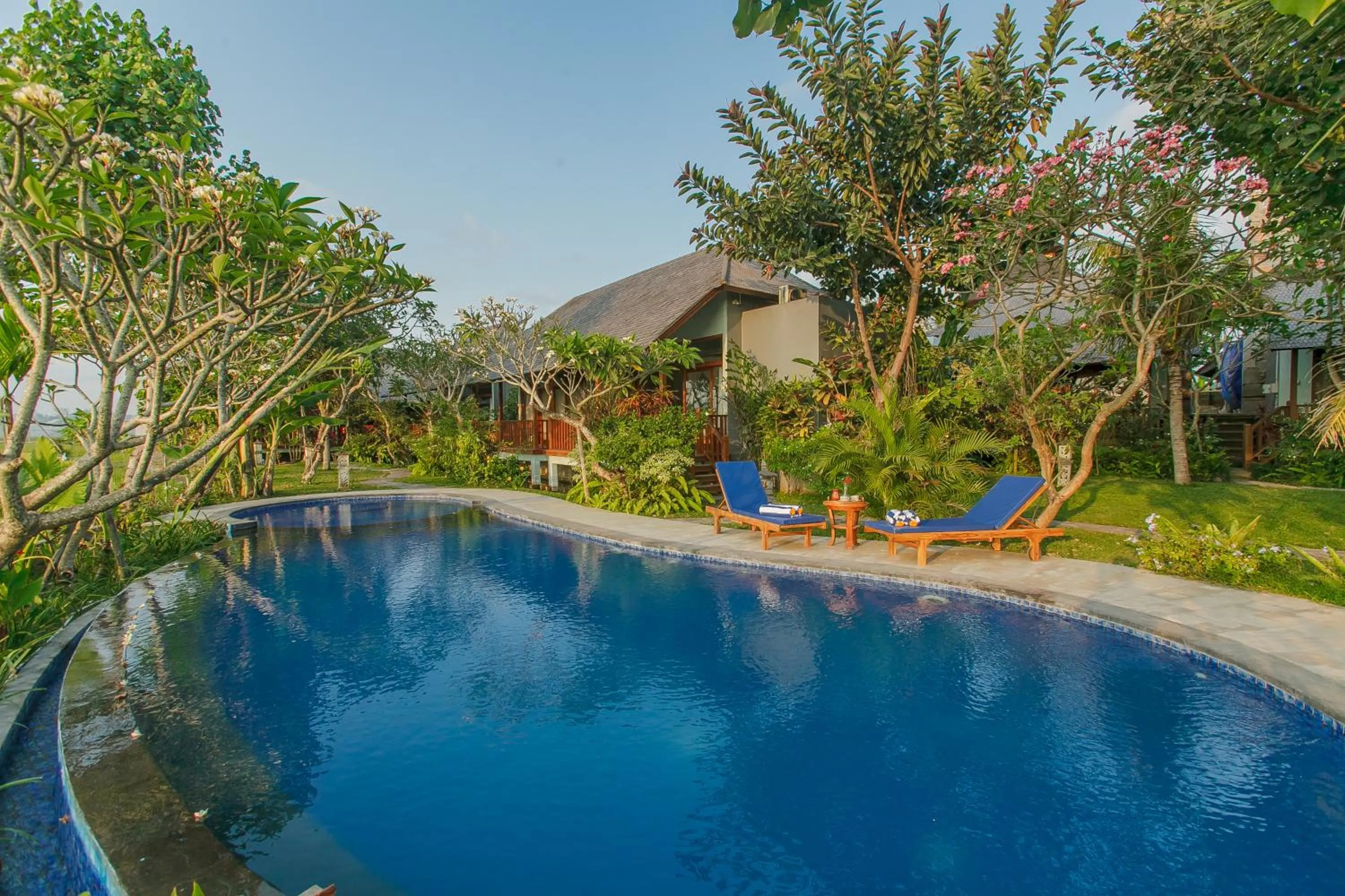 Swimming pool in Villa D'Carik Bali