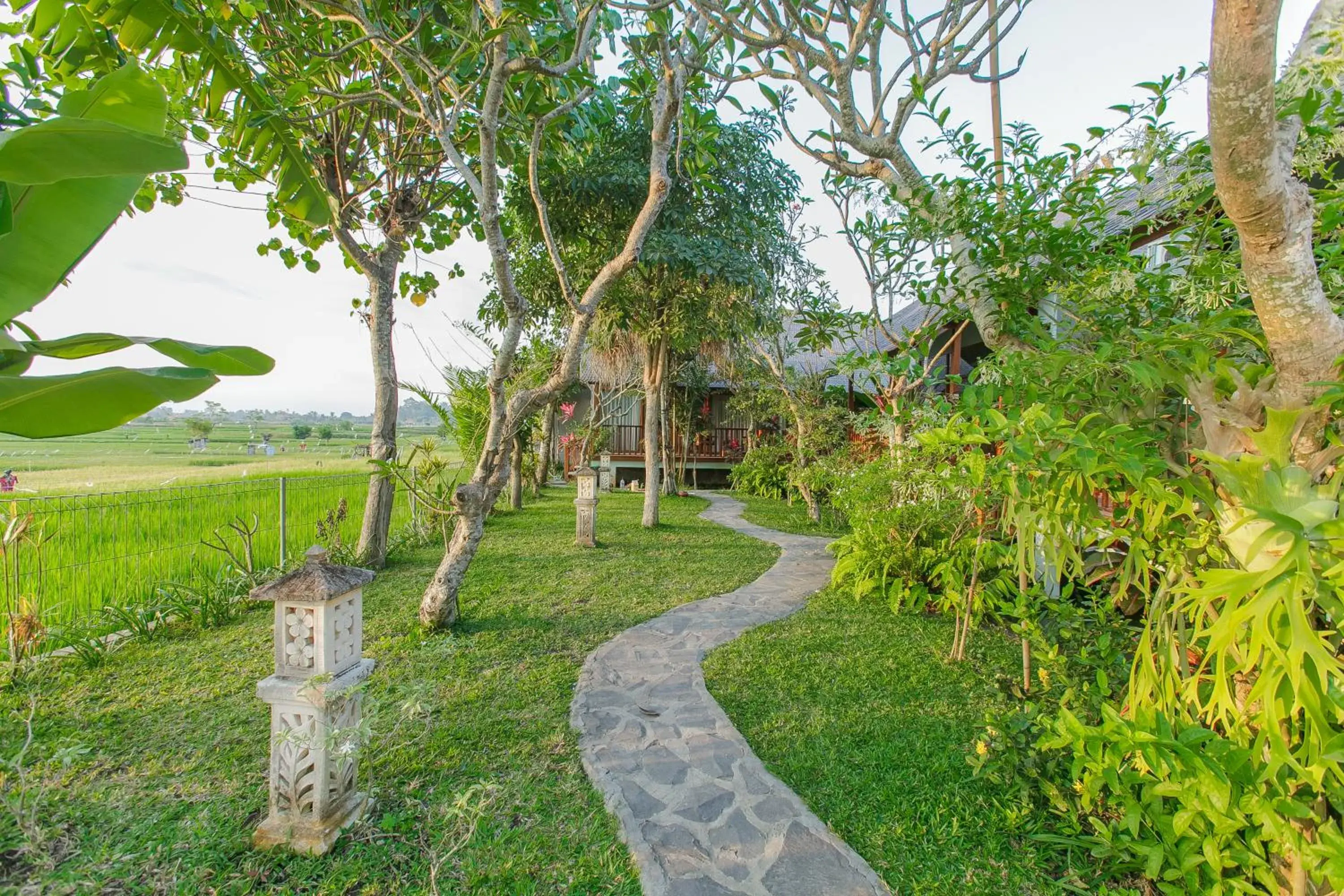Garden view in Villa D'Carik Bali Garden view in Villa D'Carik Bali