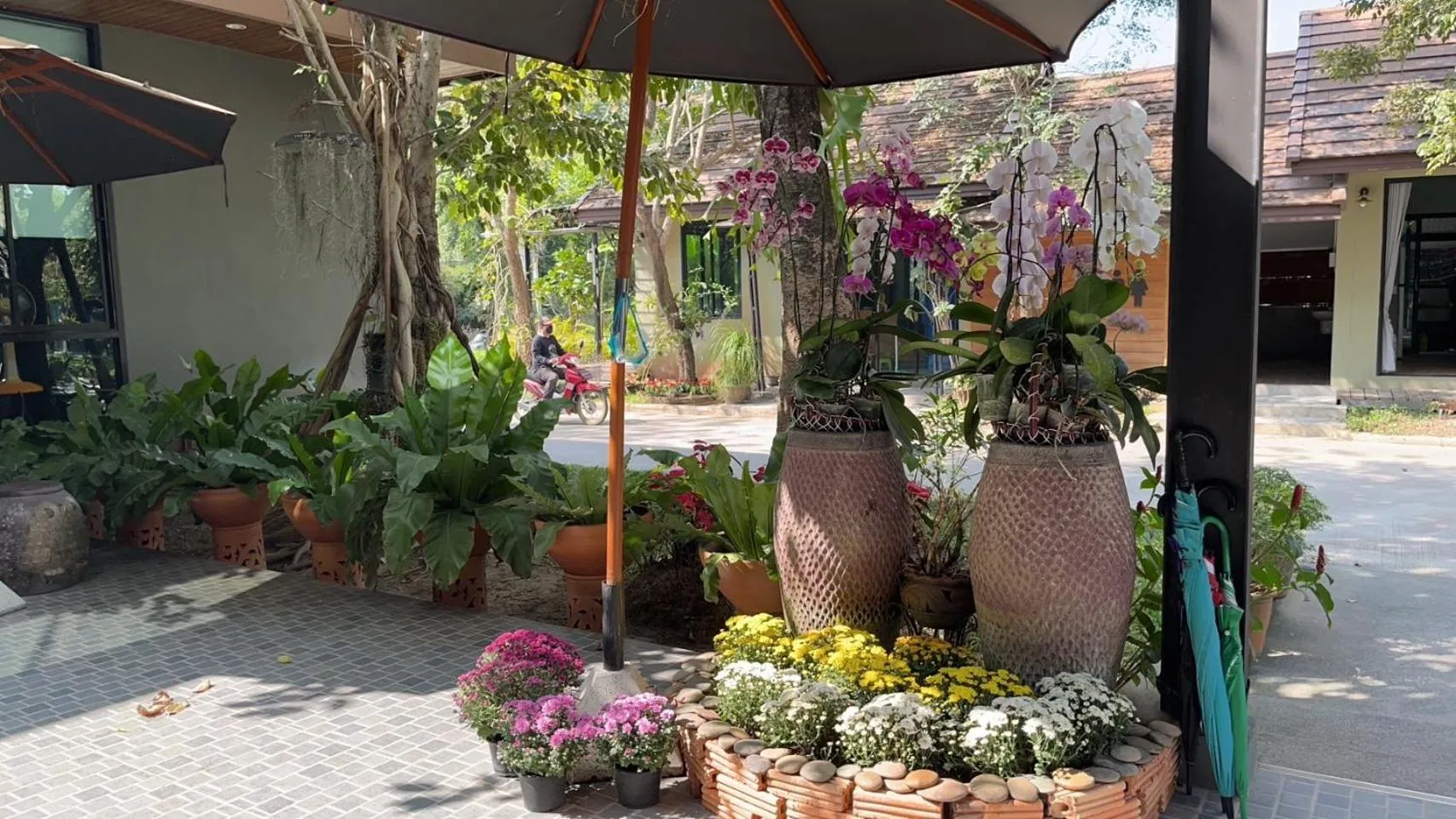 Look at Home Lamphun