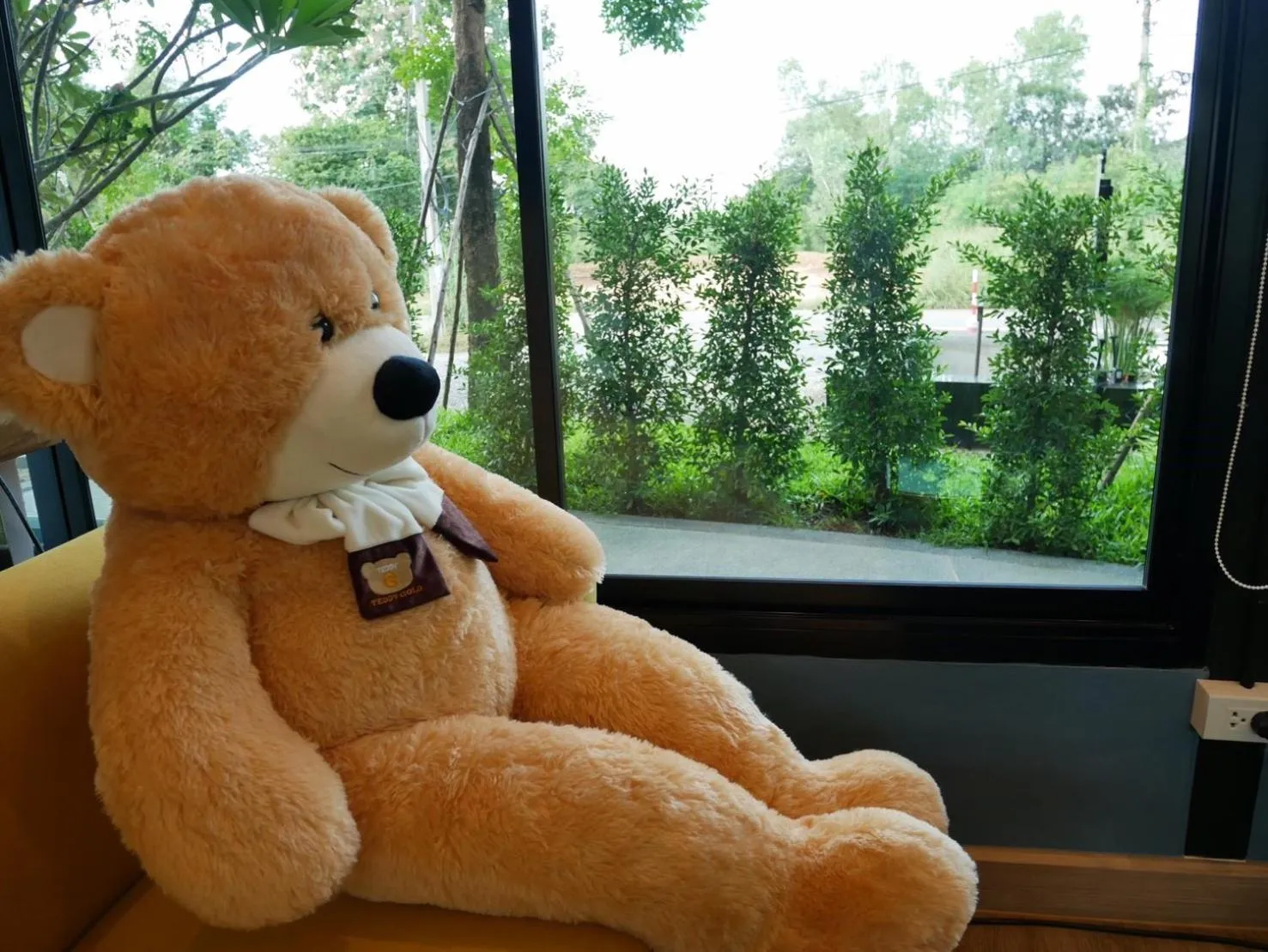 Look at Home Lamphun