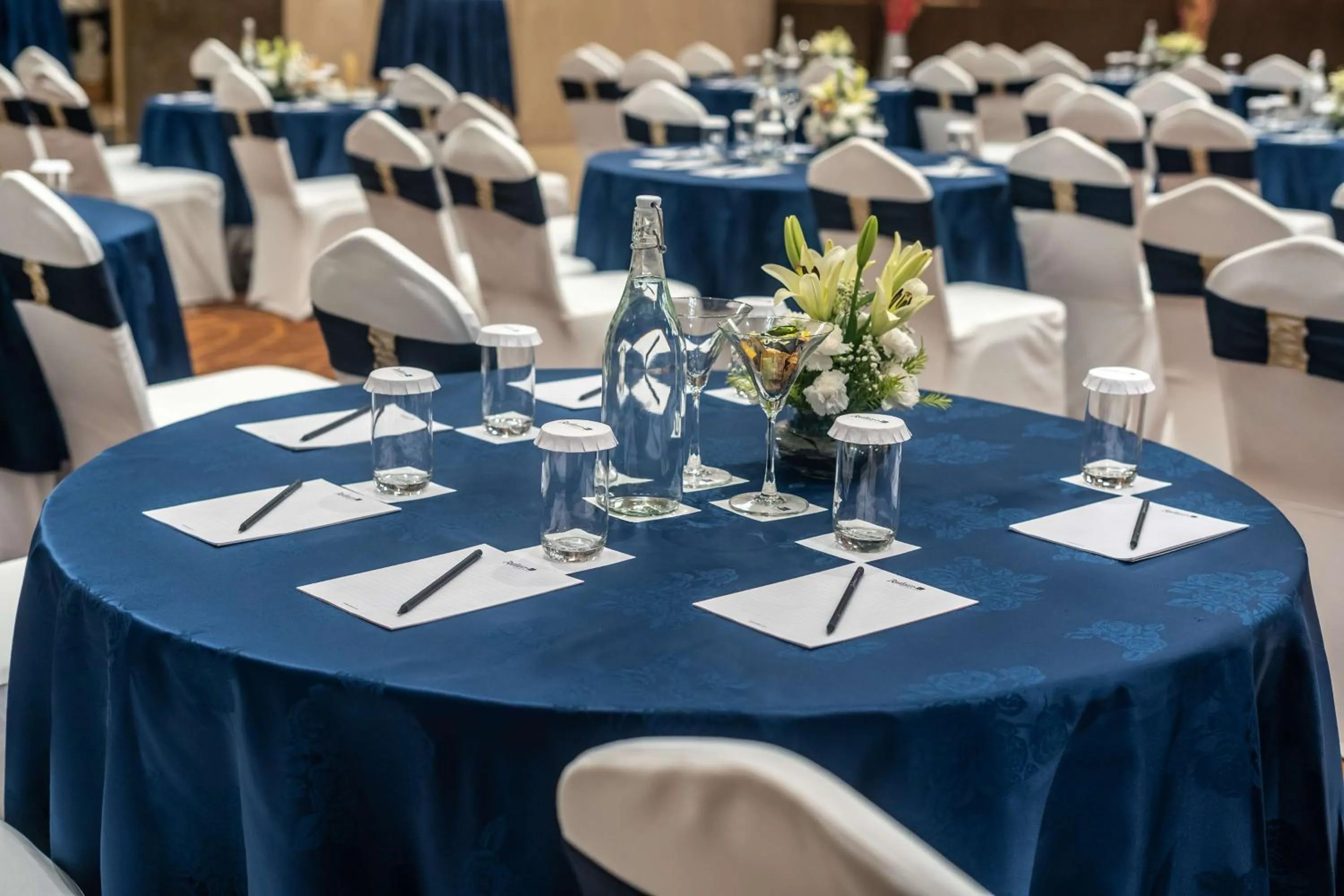 Banquet/Function facilities in Radisson Blu Hotel, Greater Noida