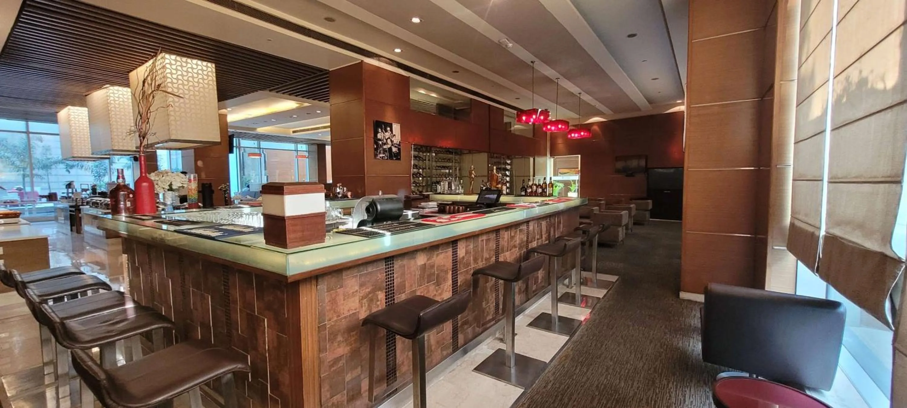 Lounge or bar in Radisson Blu Hotel, Greater Noida