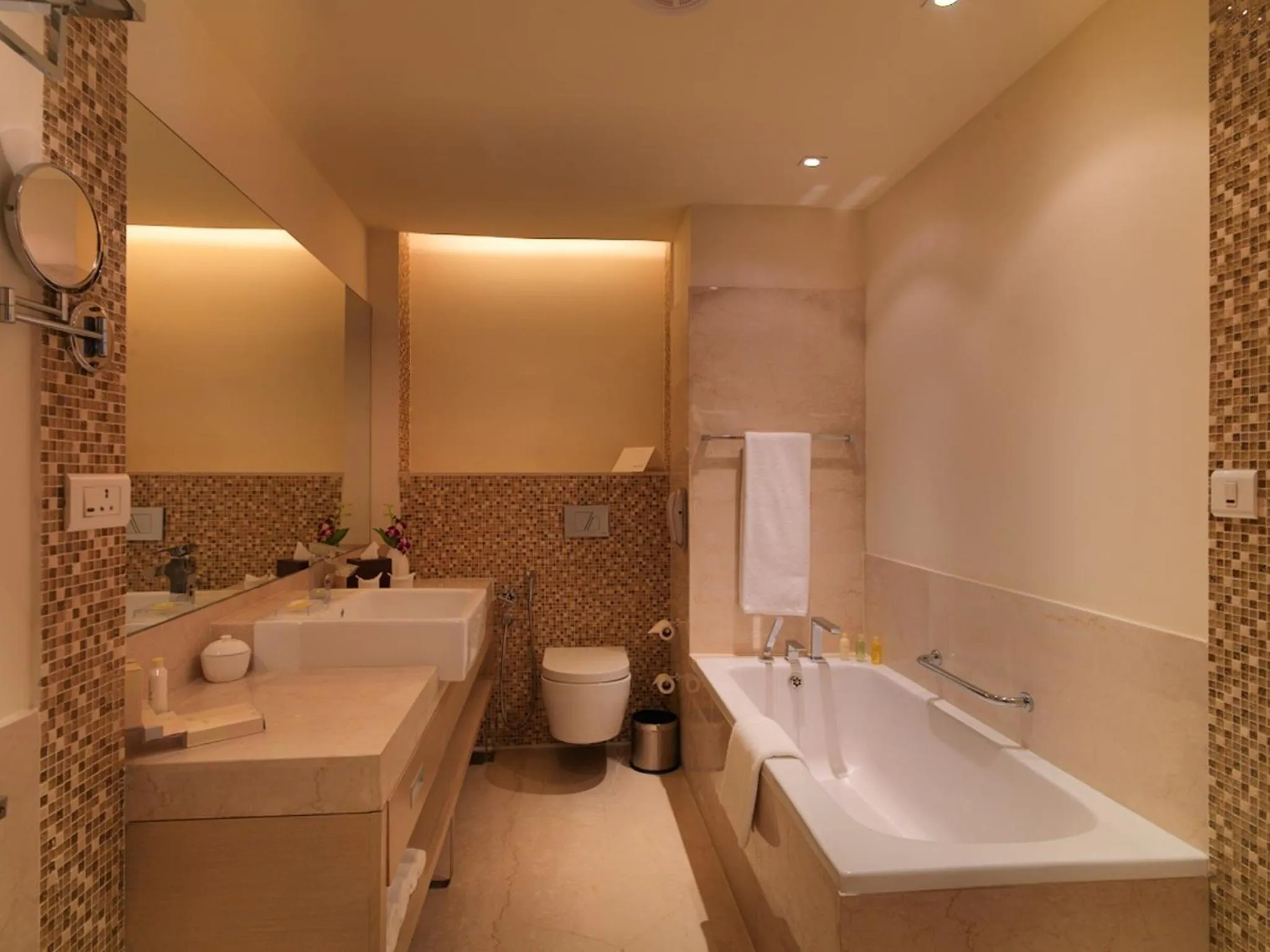 Bathroom in Radisson Blu Hotel, Greater Noida