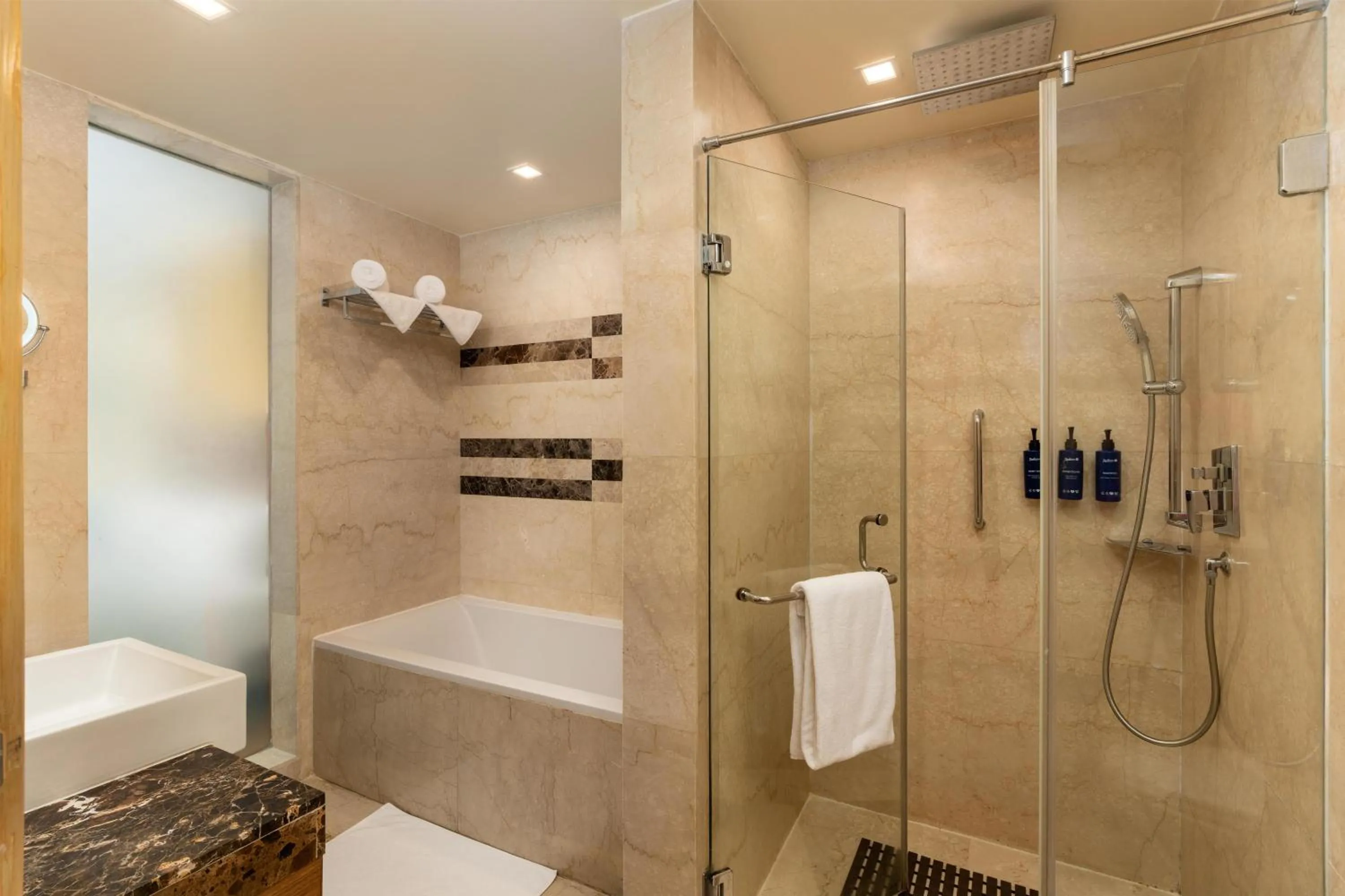 Bathroom in Radisson Blu Hotel, Greater Noida