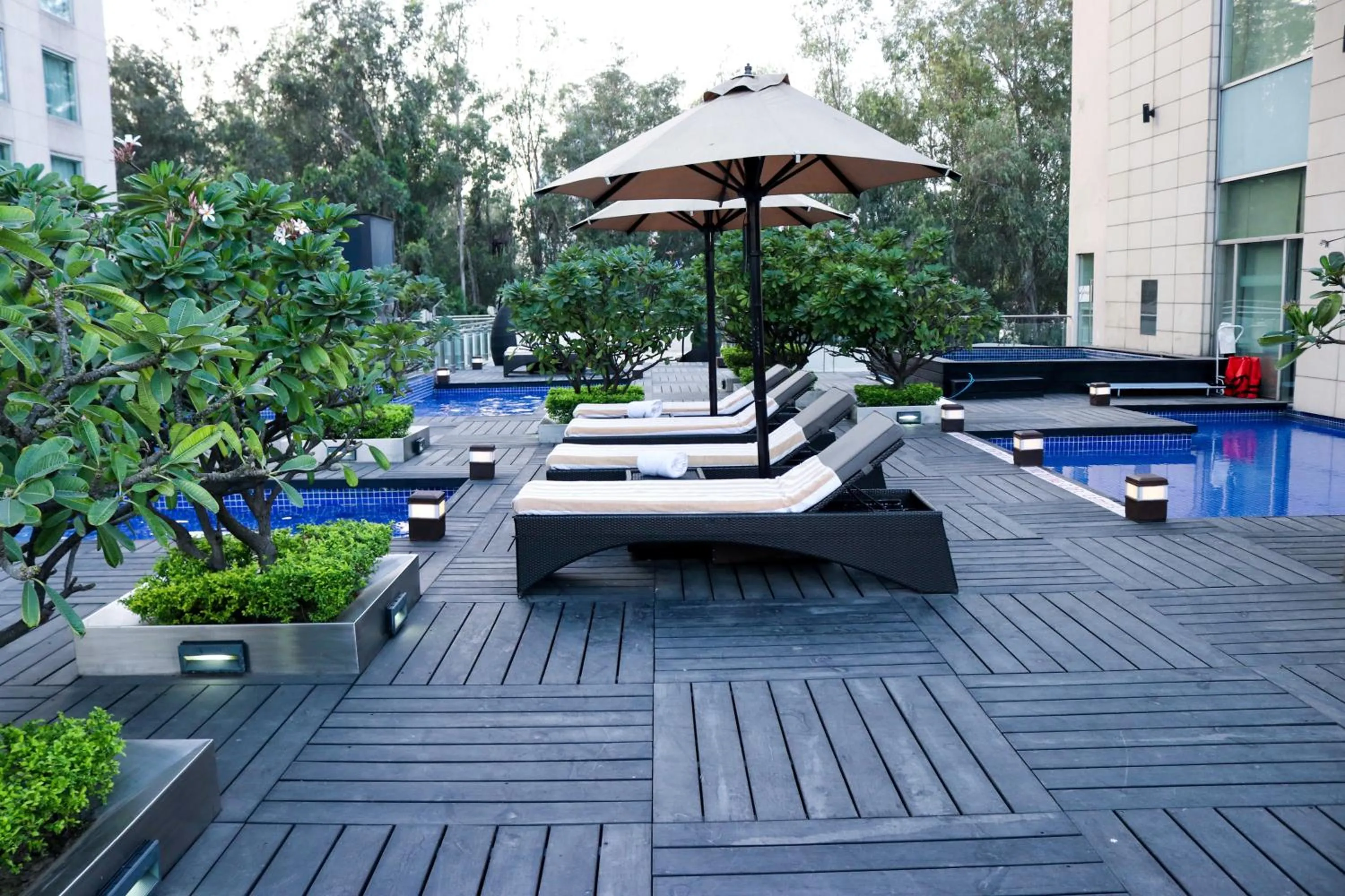 Swimming pool in Radisson Blu Hotel, Greater Noida