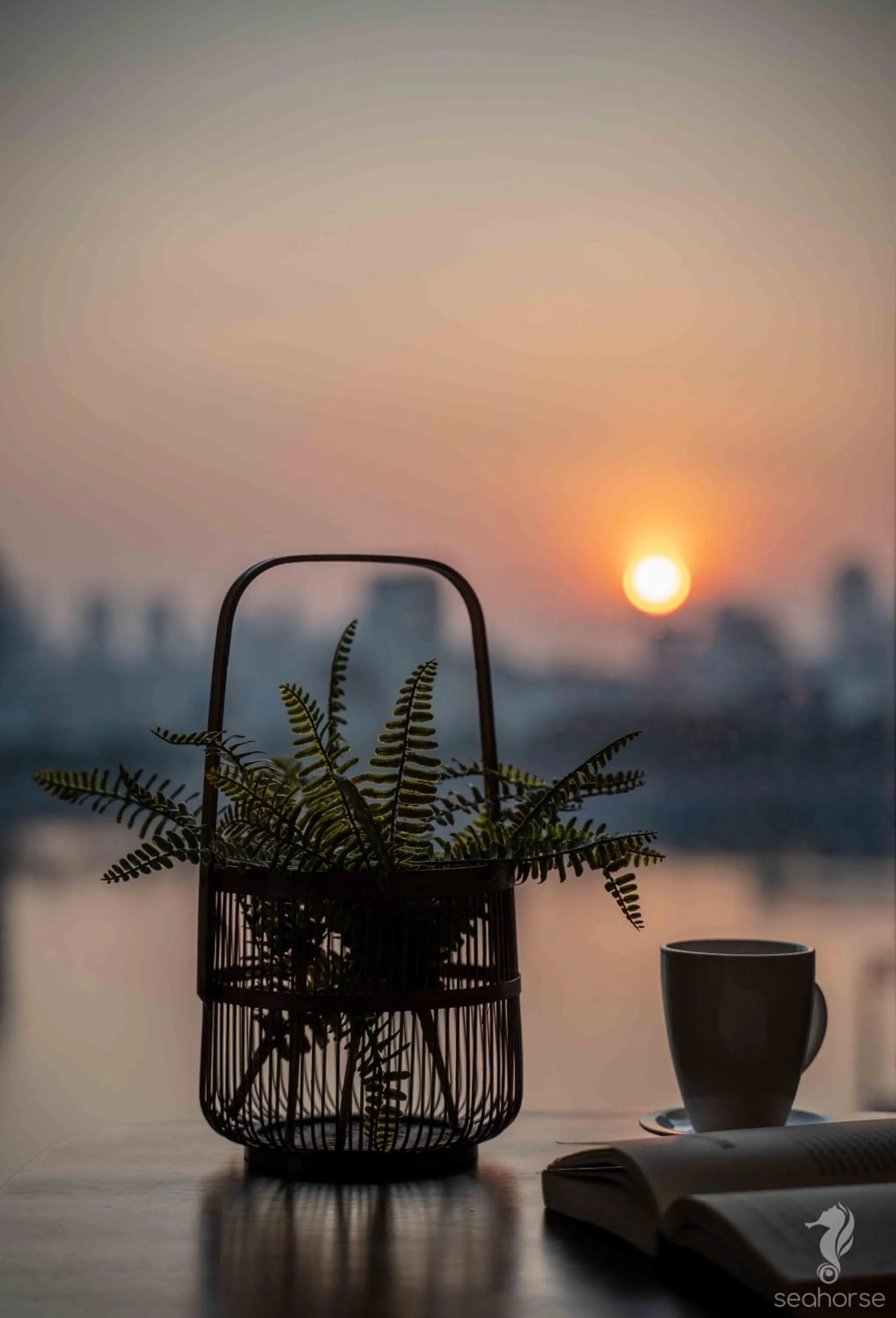Sunrise in Seahorse Han Market Da Nang Apartment by Haviland