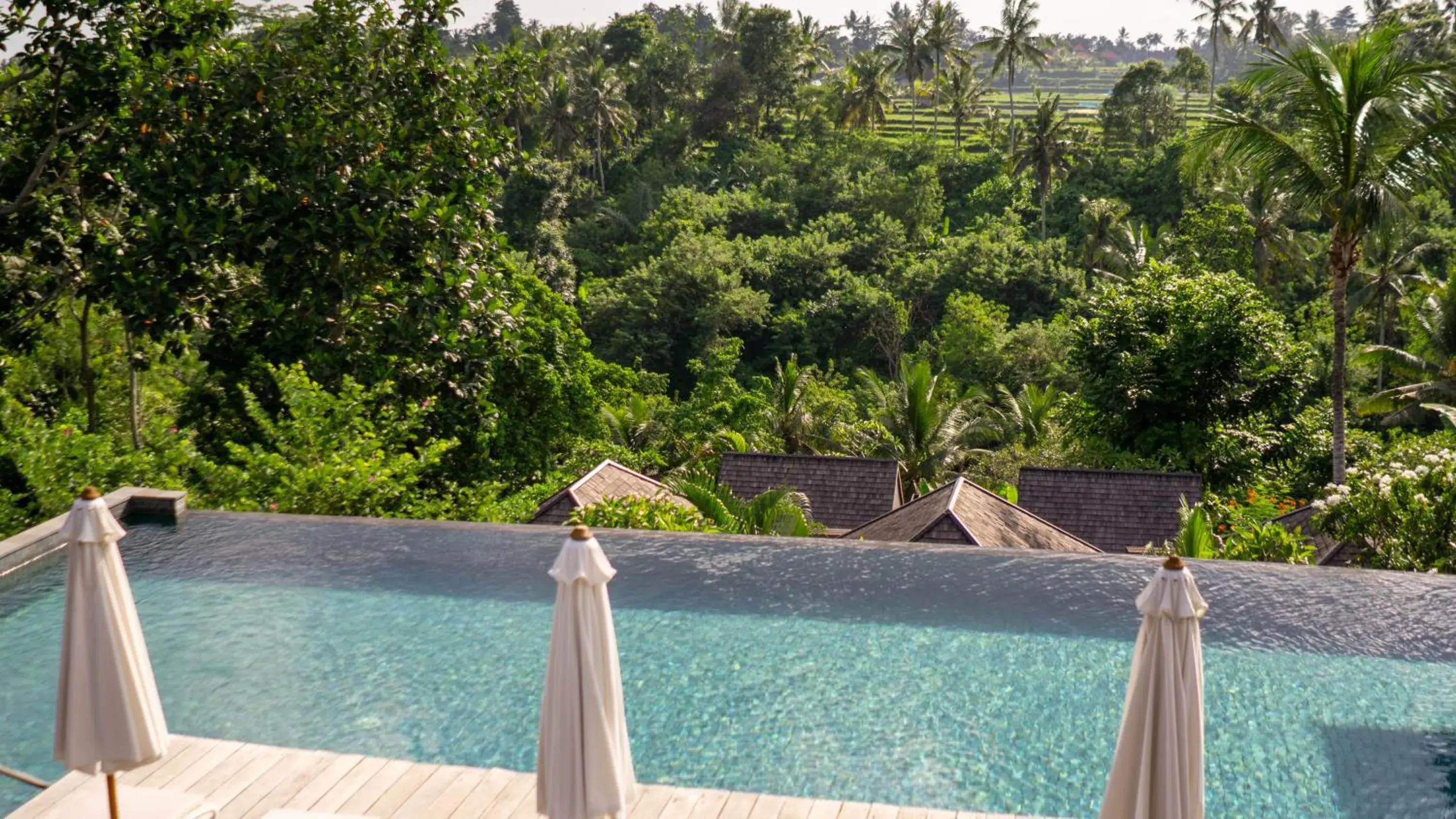 Swimming pool in Tejaprana Bisma - CHSE Certified Swimming pool in Tejaprana Bisma - CHSE Certified