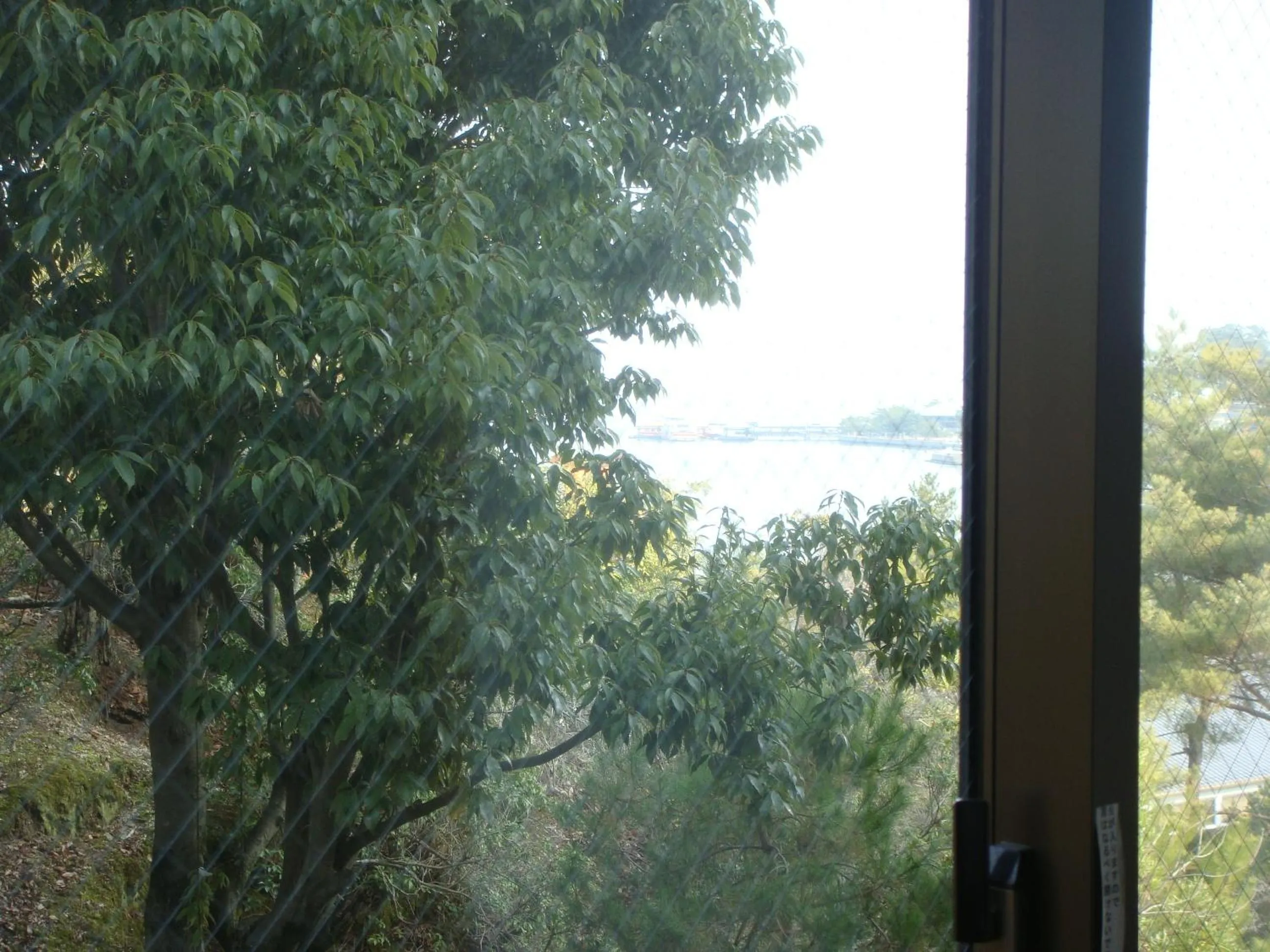 View (from property/room) in Jukeiso