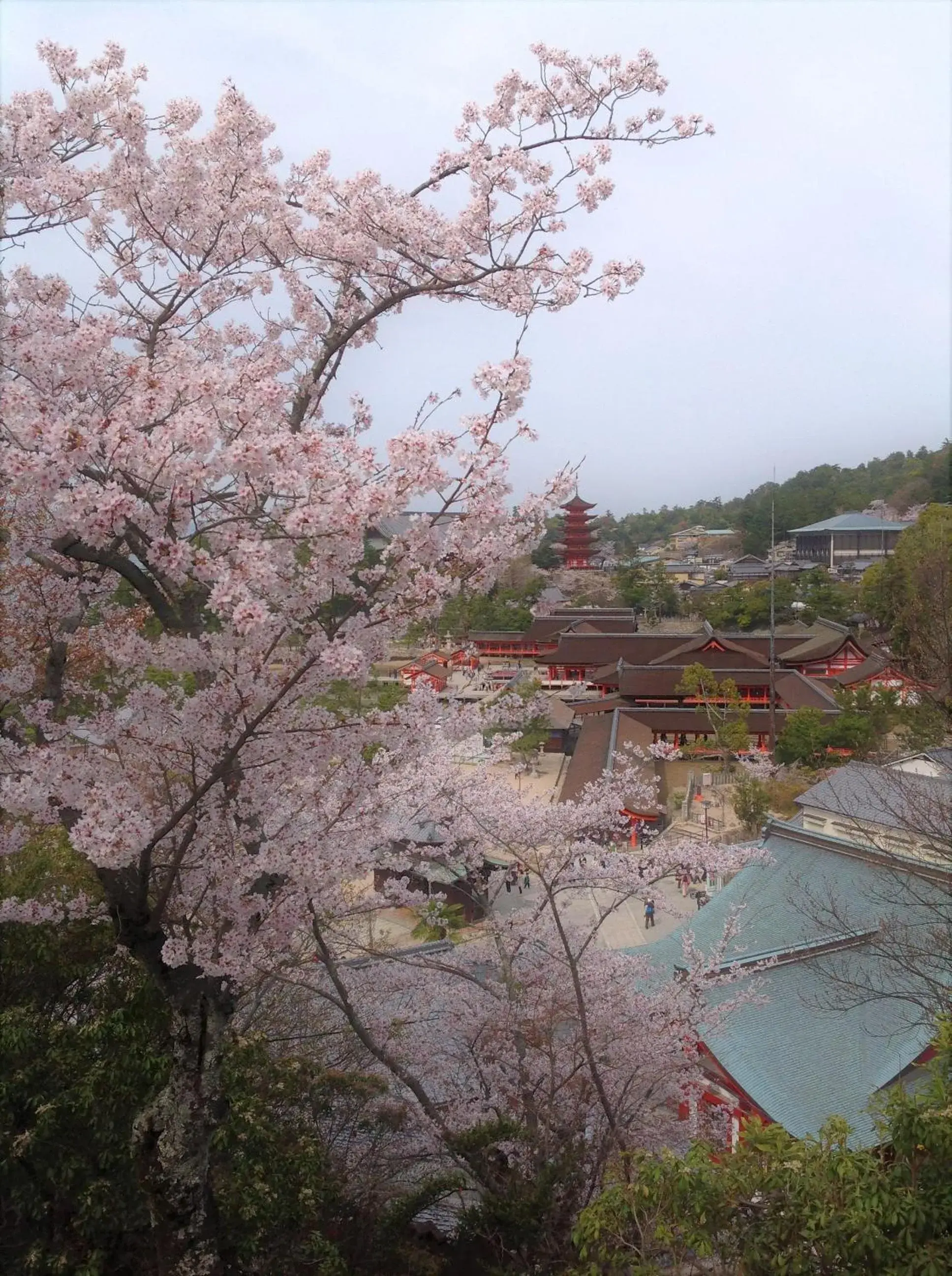 Landmark view in Jukeiso Landmark view in Jukeiso