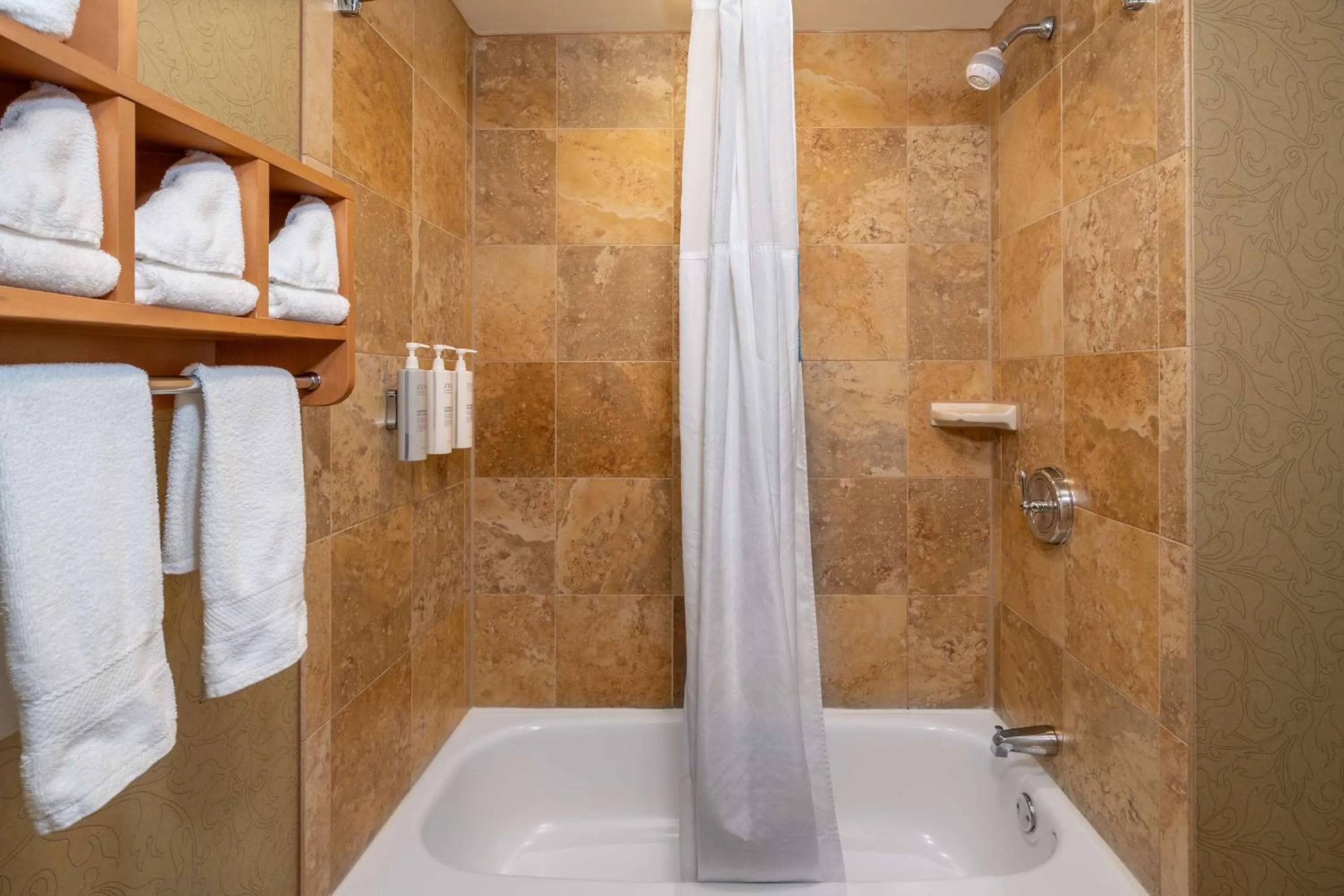 Bathroom in Hampton Inn & Suites Nashville-Vanderbilt-Elliston Place