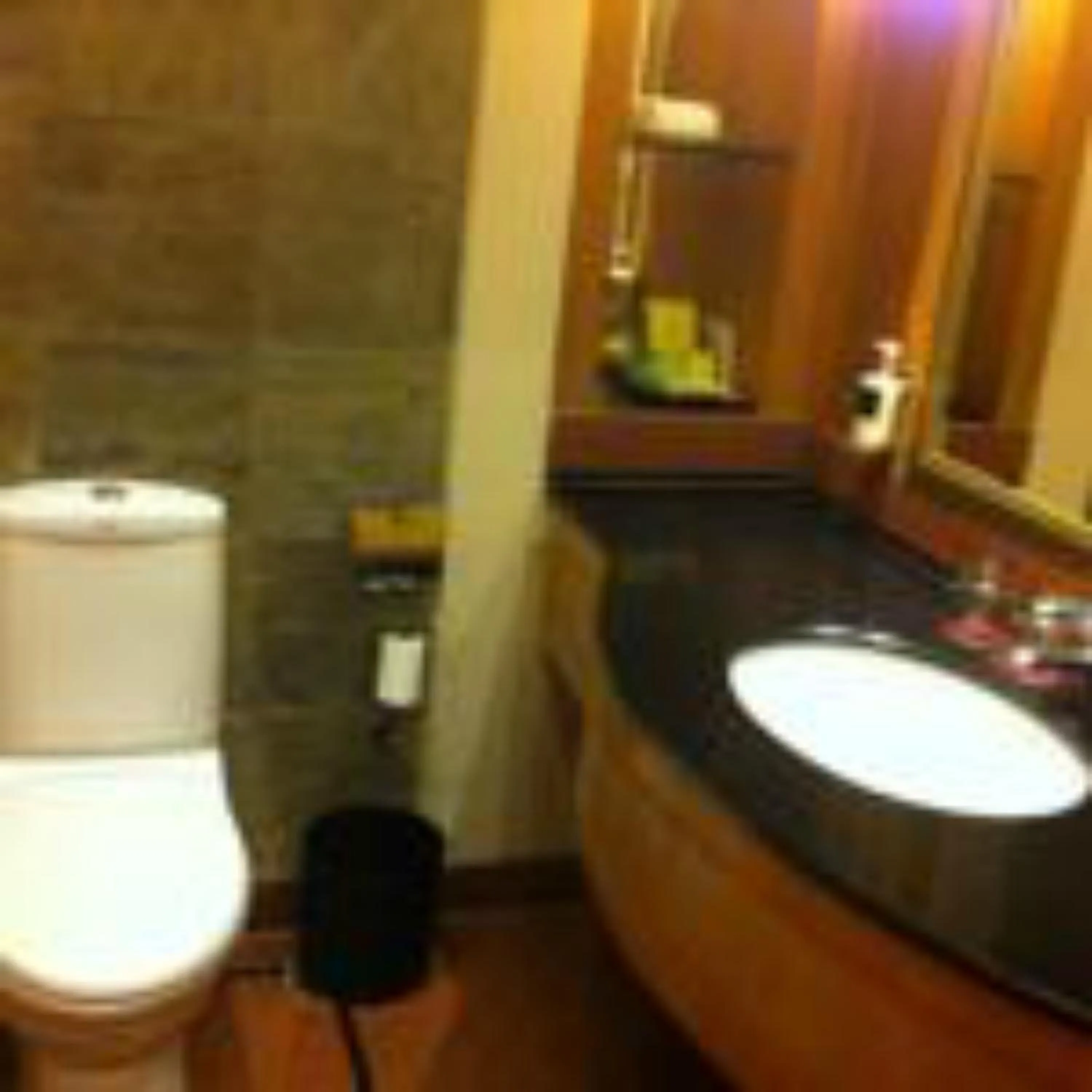 Bathroom in Lemon Tree Premier, Jaipur