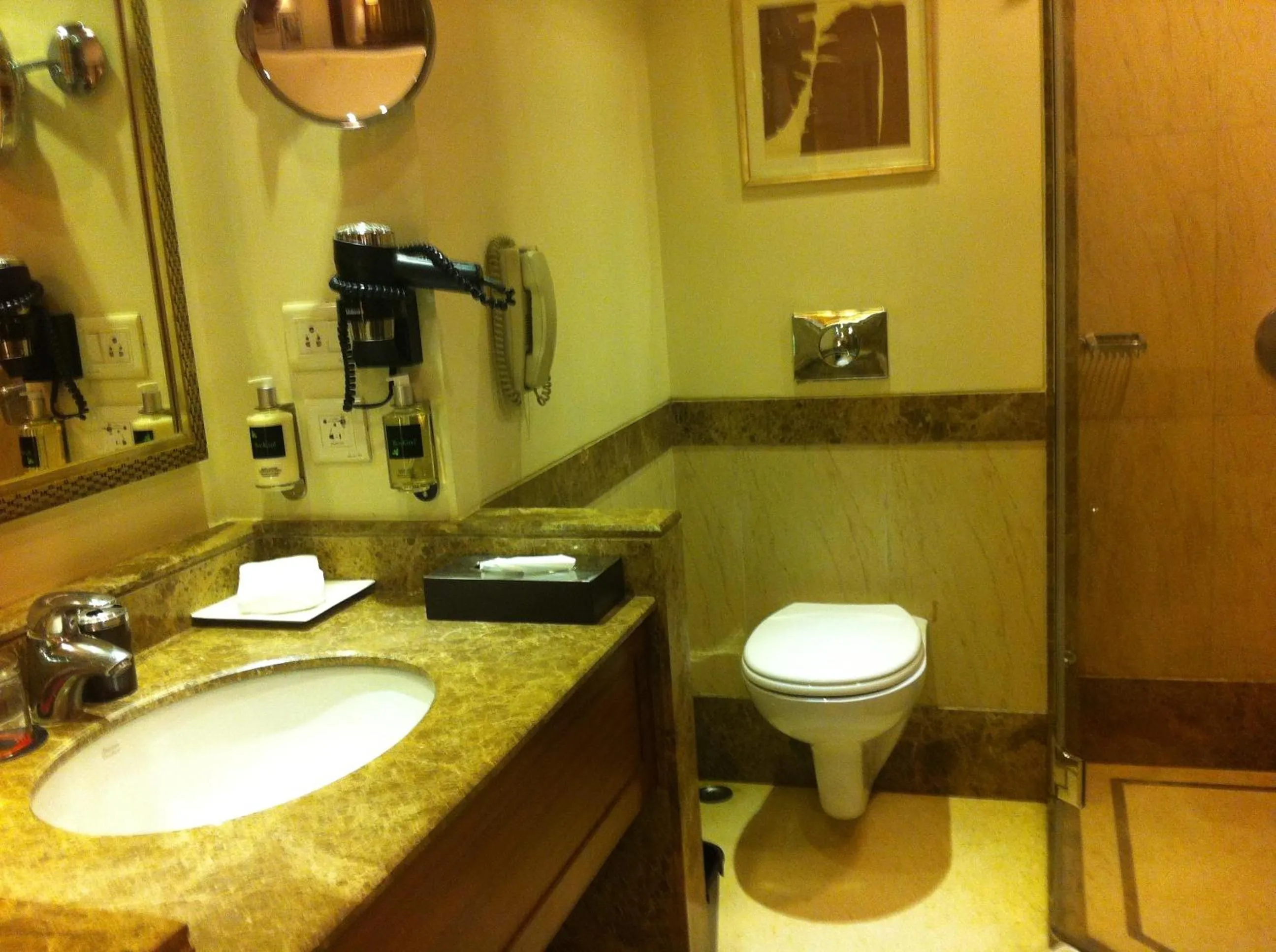 Toilet in Lemon Tree Premier, Jaipur