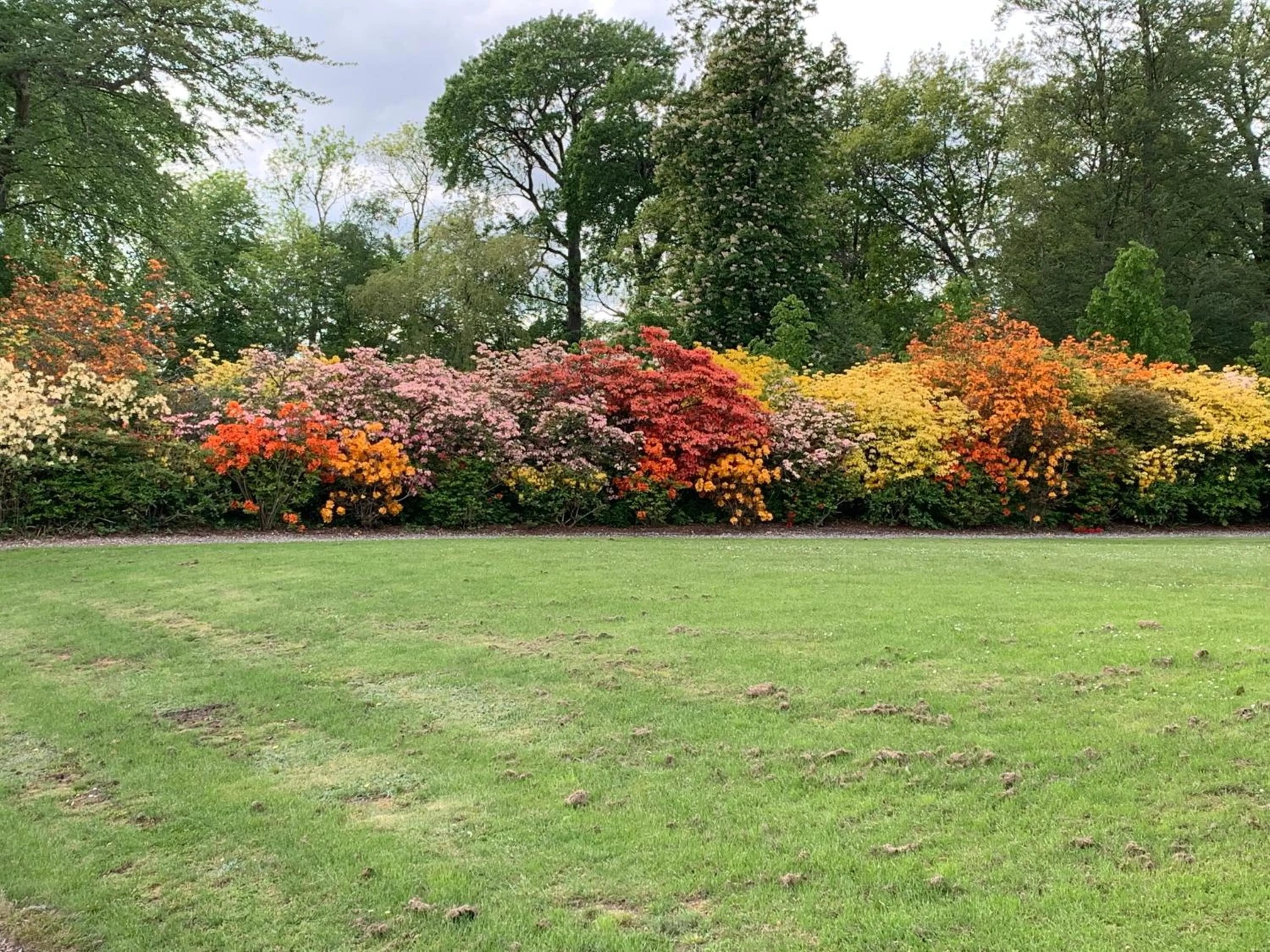 Garden view in Hotel Møllehuset