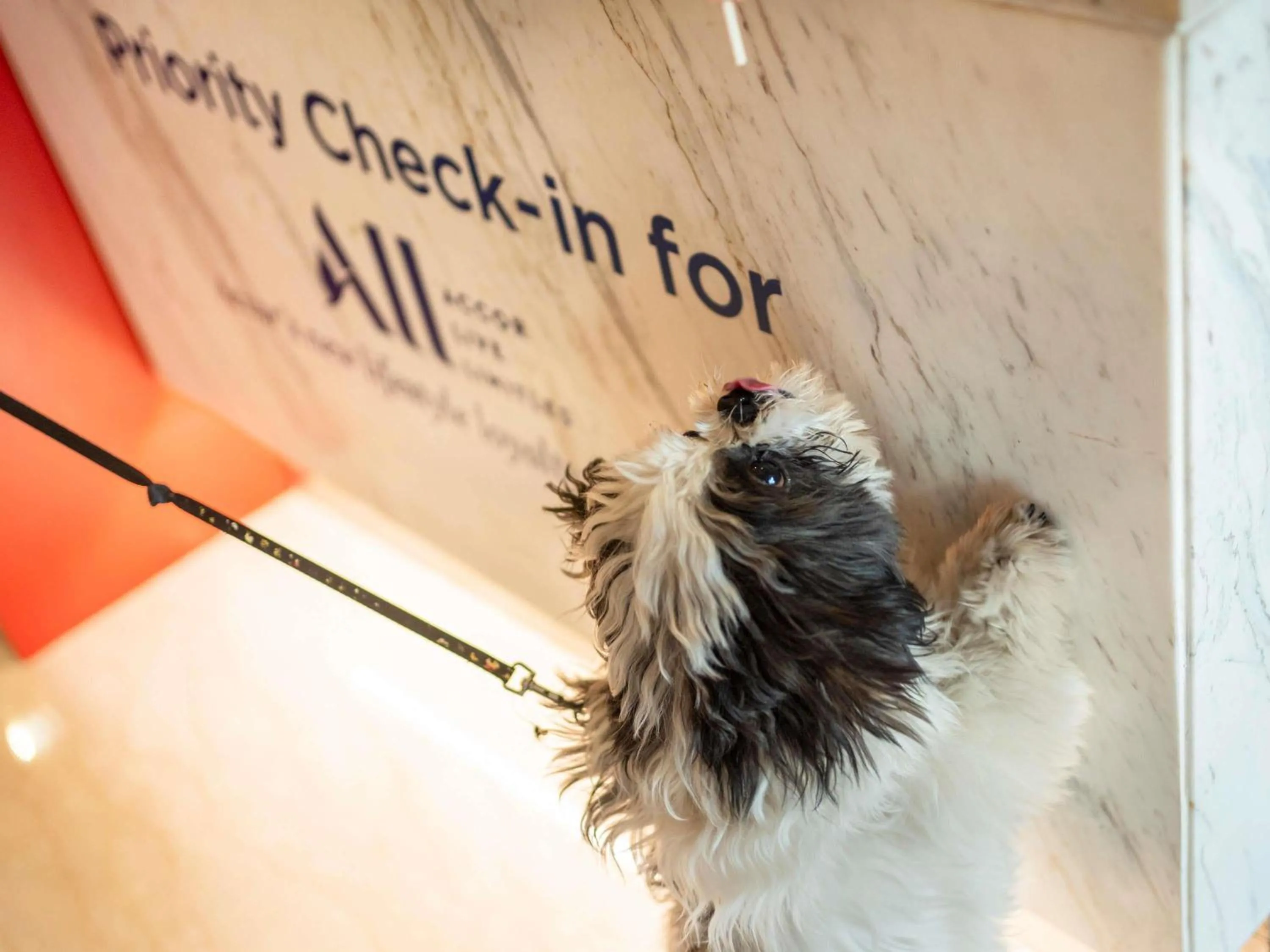 Other in ibis New Delhi Aerocity - An Accor Brand