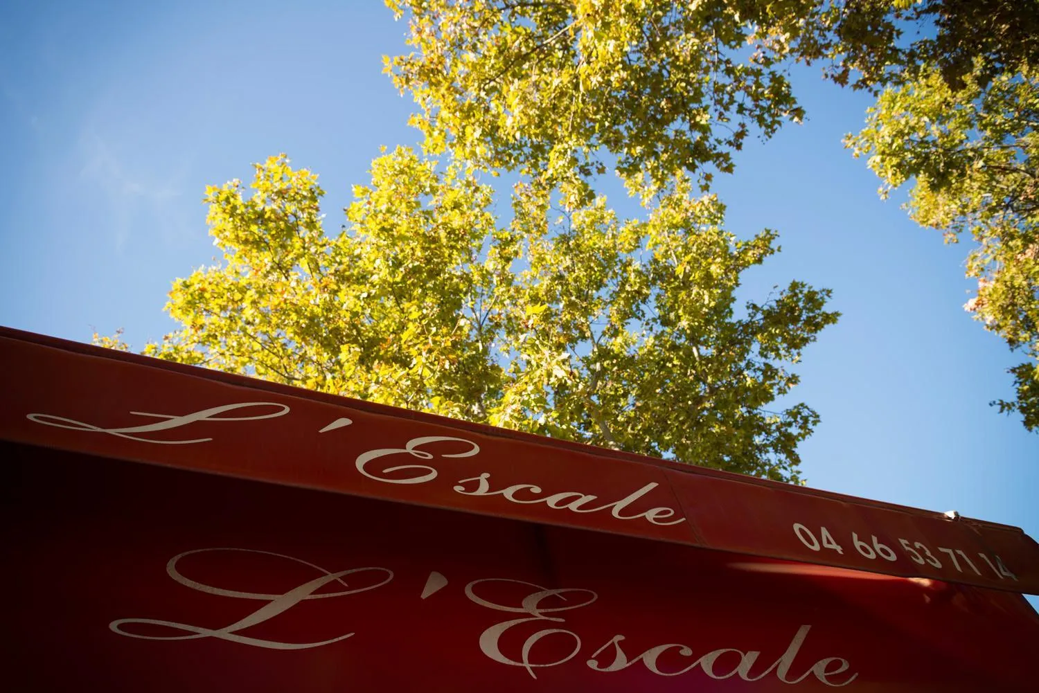 Restaurant/places to eat in Hotel L'Escale