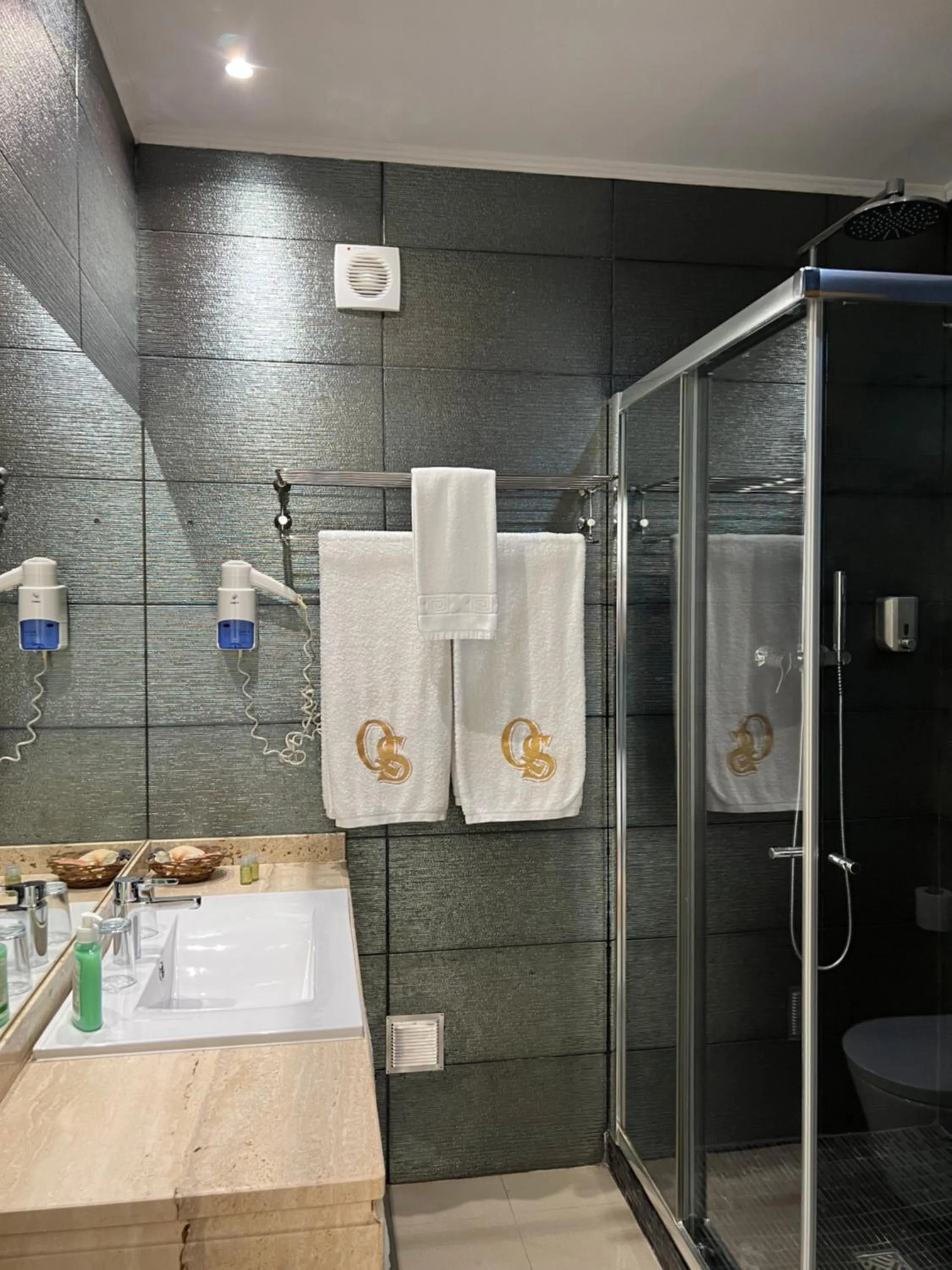 Shower in Quinta Saleiro Guesthouse