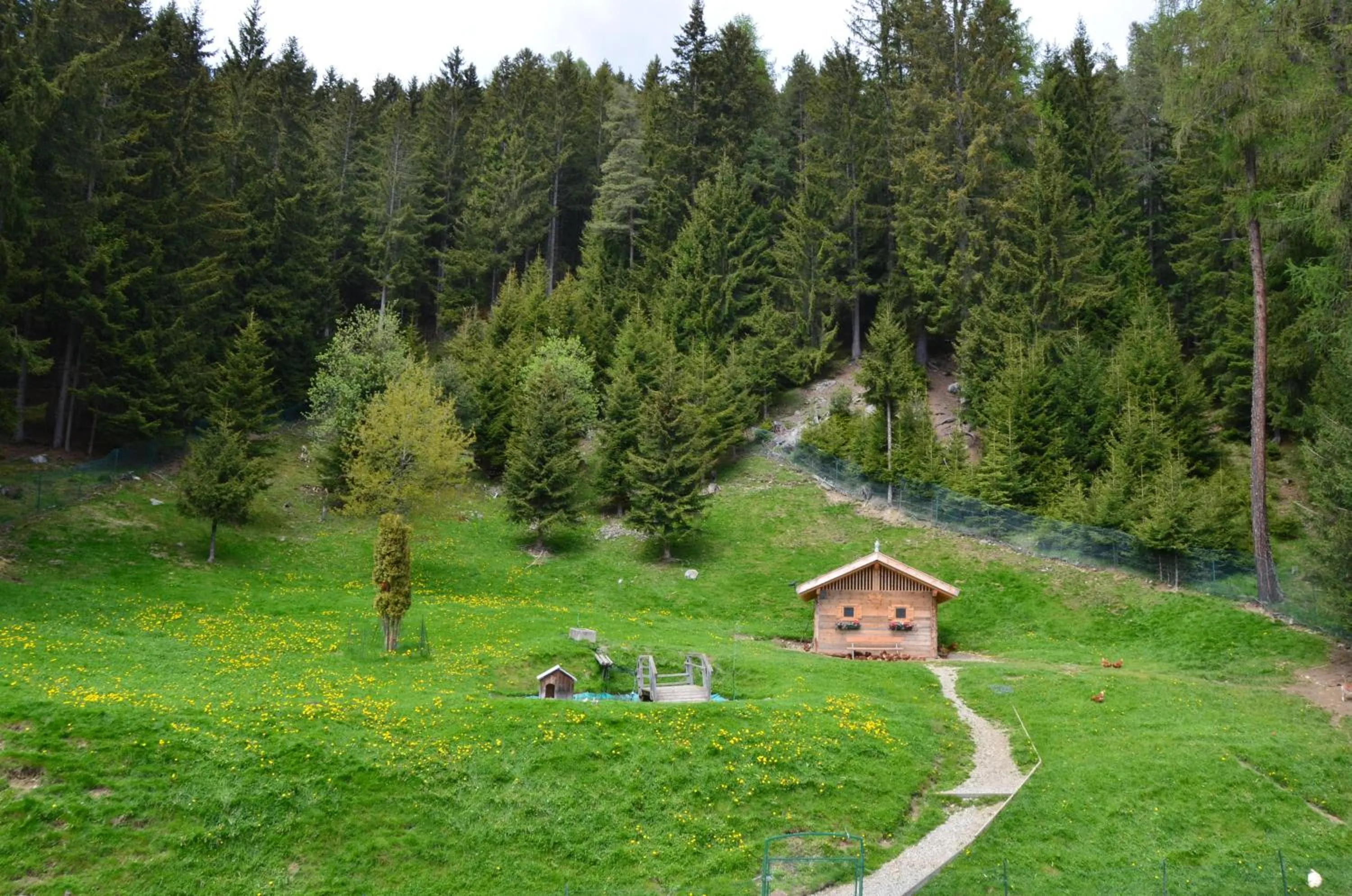 Balcony/Terrace in Granpanorama Wellnesshotel Sambergerhof Superior