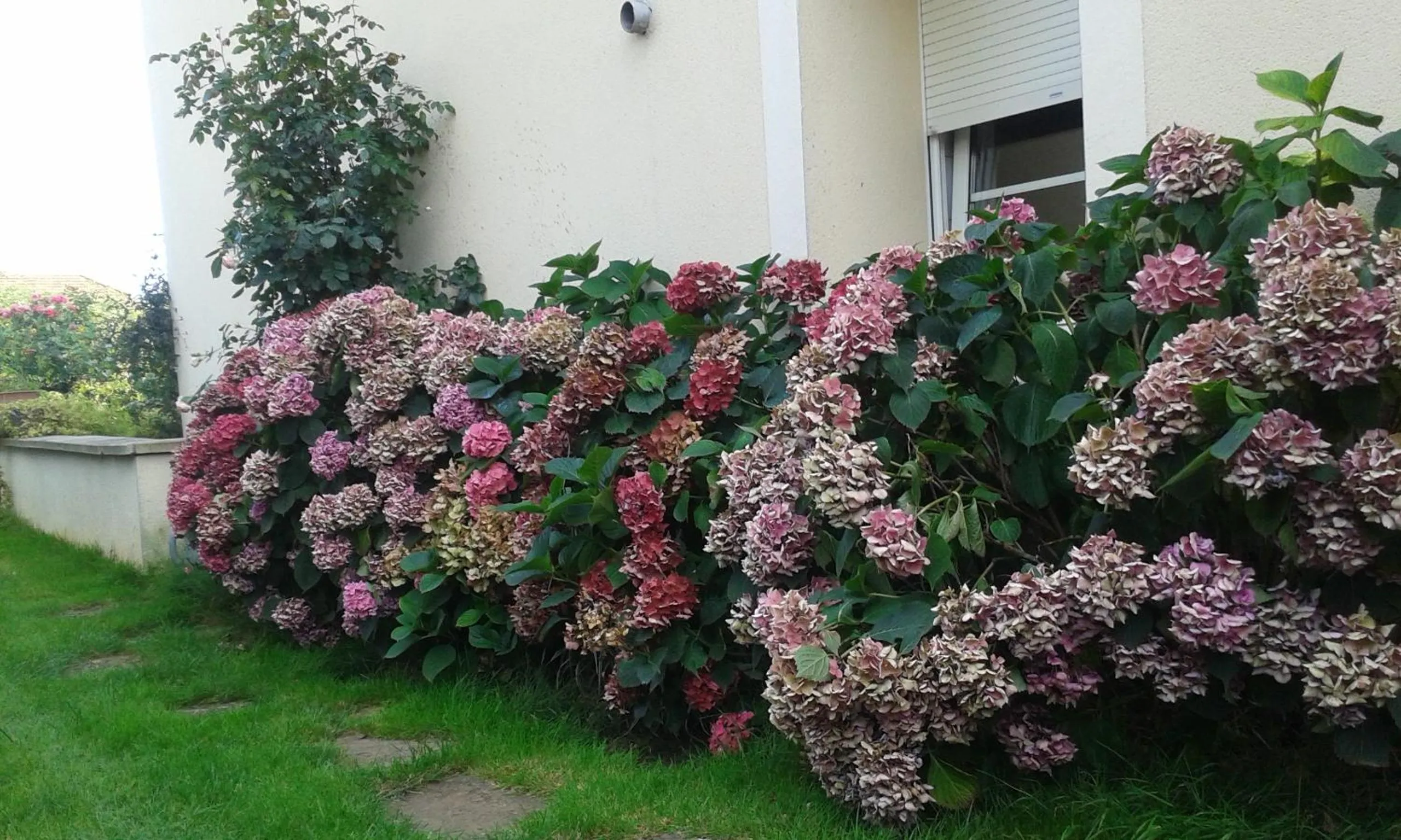 Garden in Chambres d'Hôtes Le Clos Du Verger