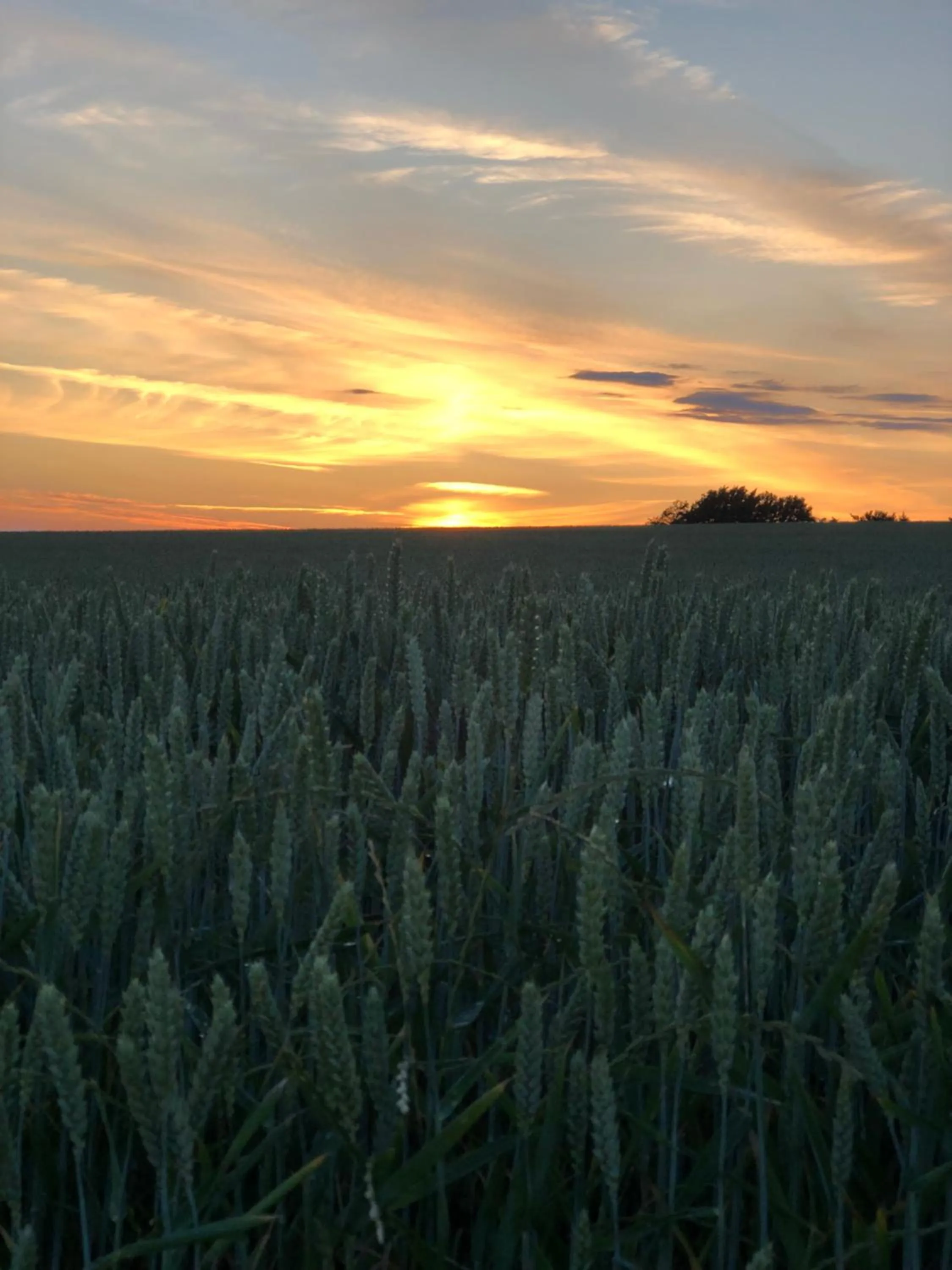 Glimminge Bed & Breakfast