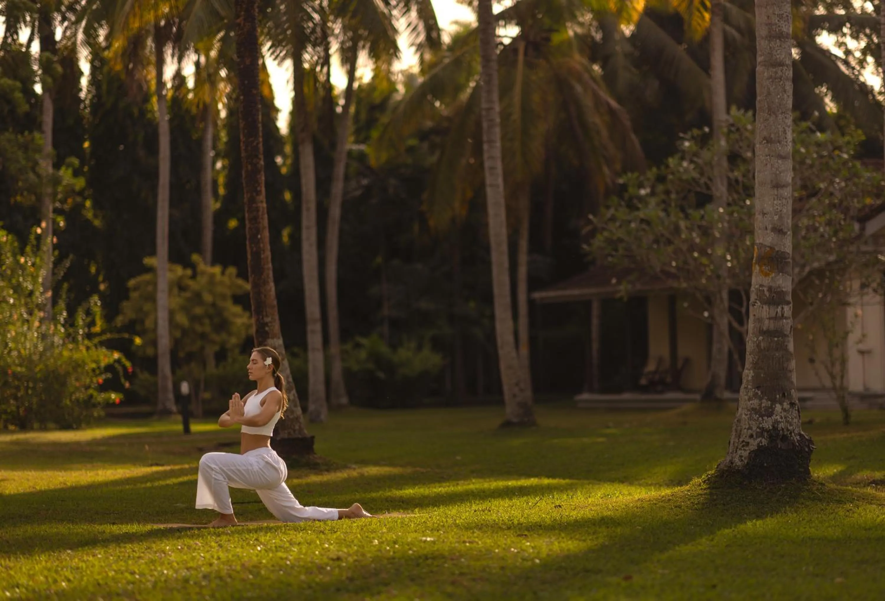 Tamarind Tree Garden Resort - Katunayake