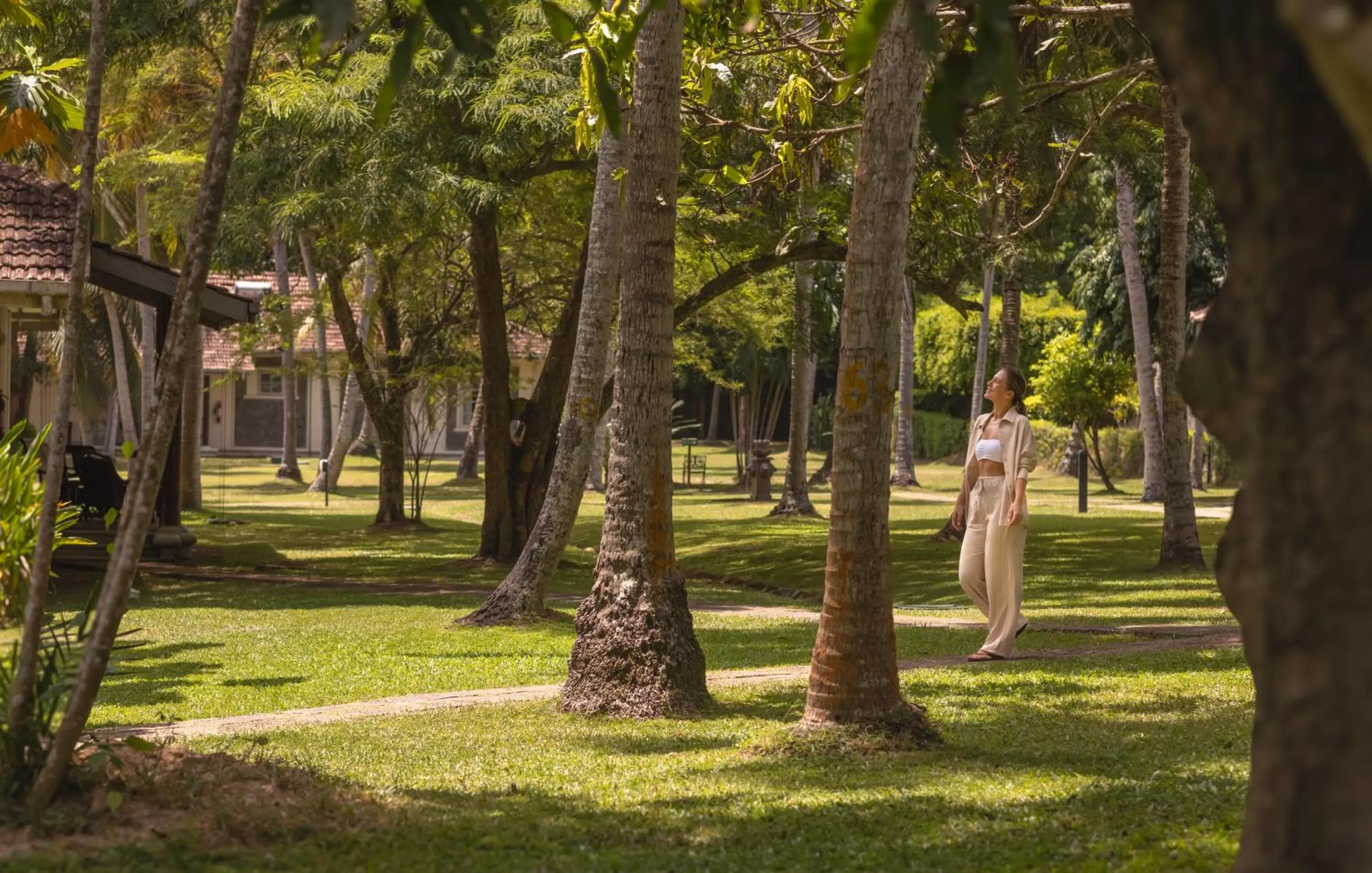 Tamarind Tree Garden Resort - Katunayake